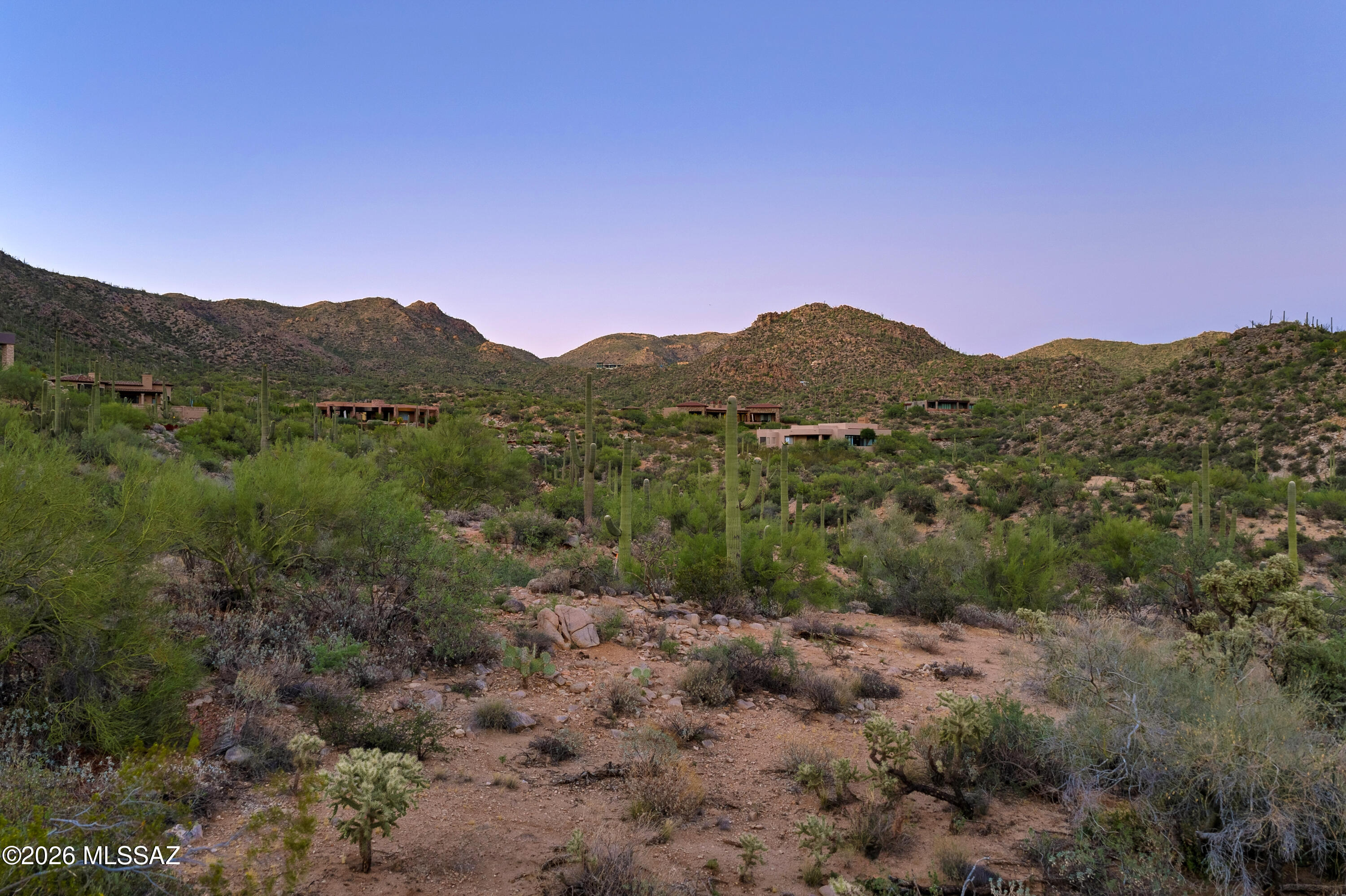 Canyon Pass III At Dove Mountain (111-181) - Land
