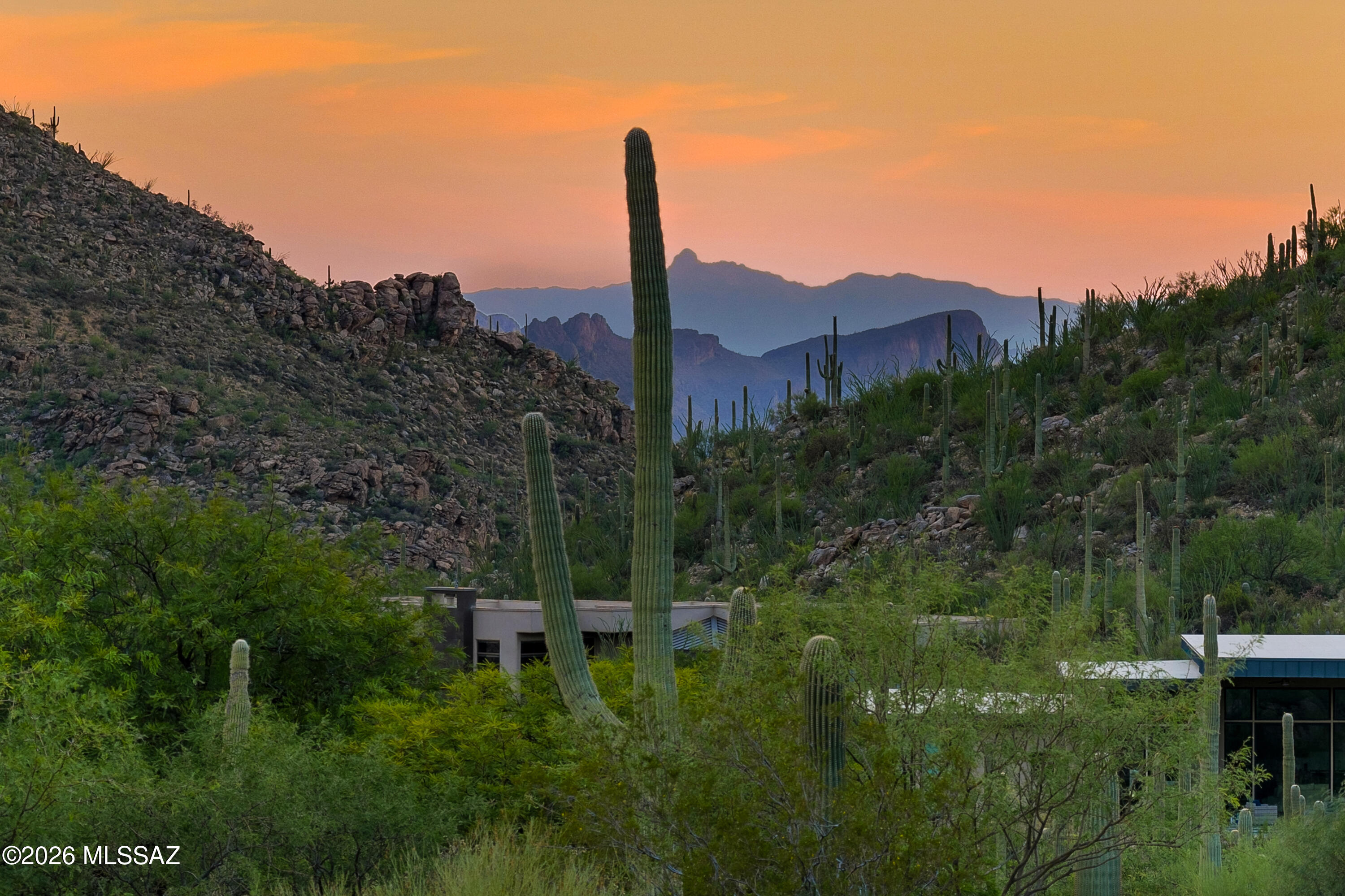 Canyon Pass III At Dove Mountain (111-181) - Land