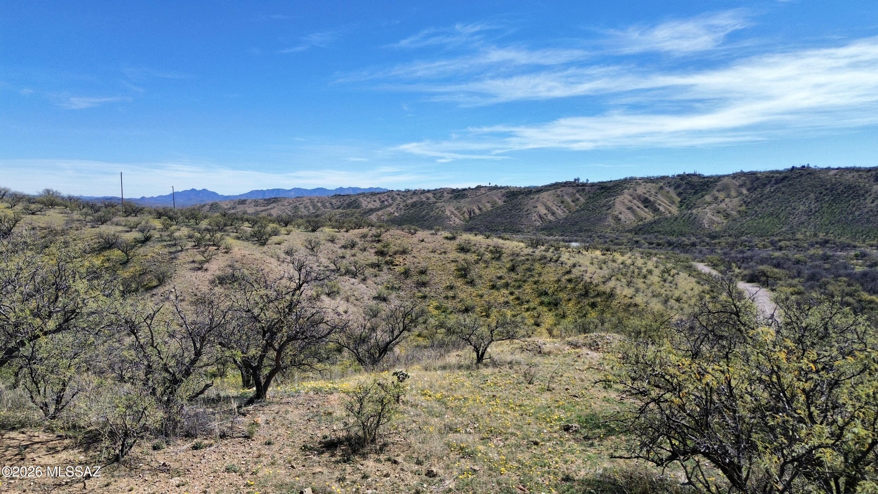 Rio Rico Estates 4 - Land