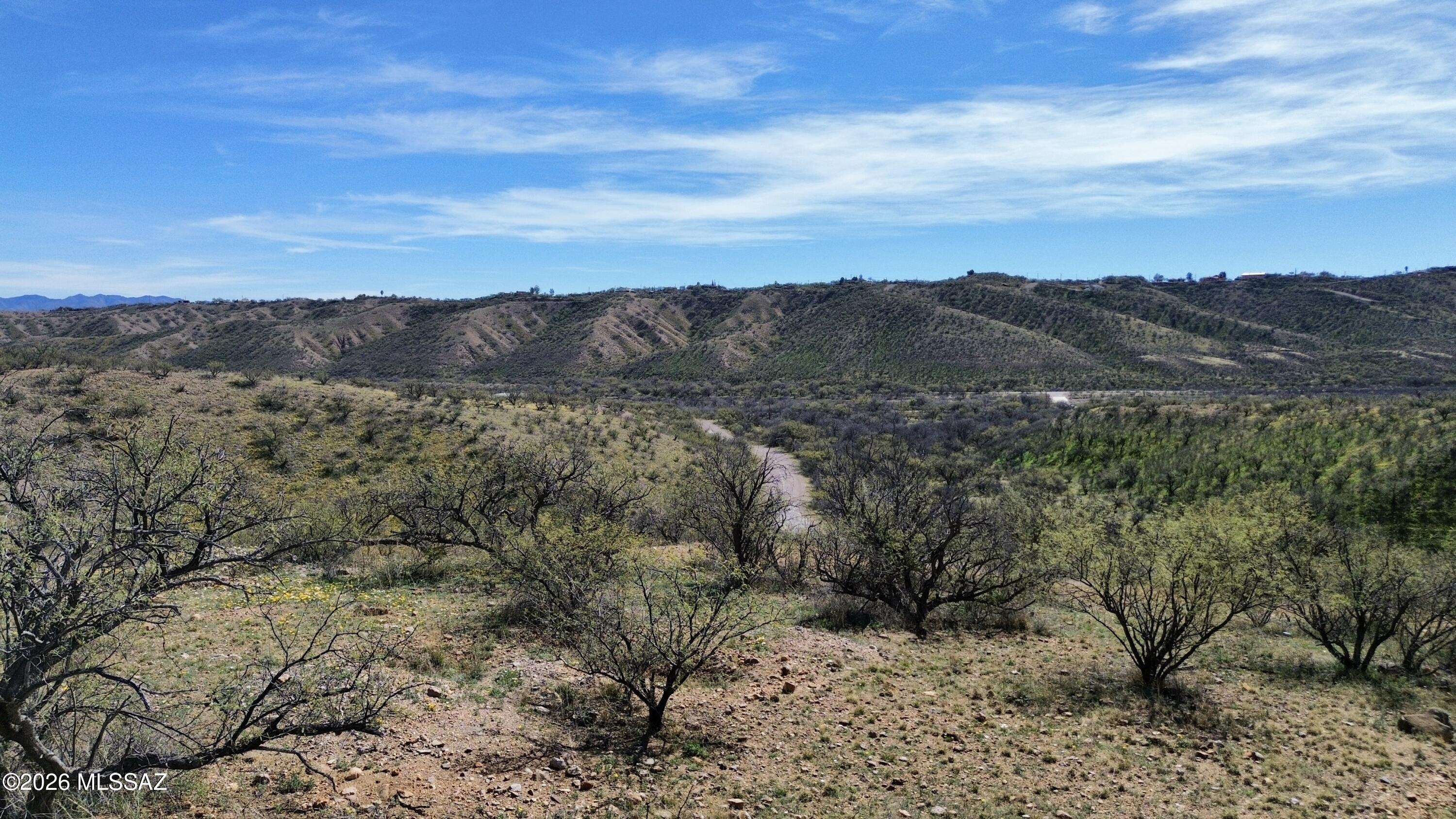 Rio Rico Estates 4 - Land