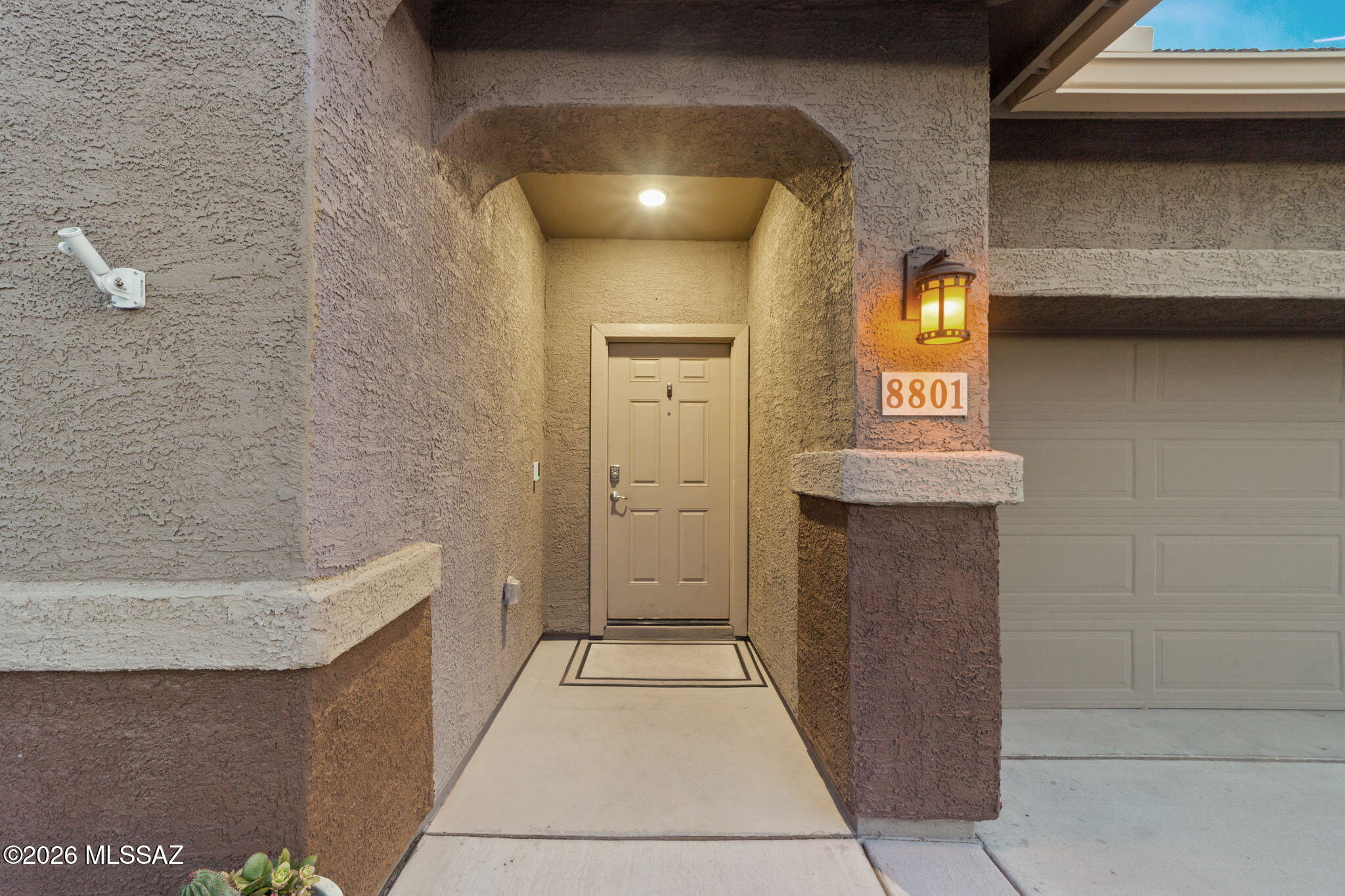Saguaro Bloom 7B - Residential