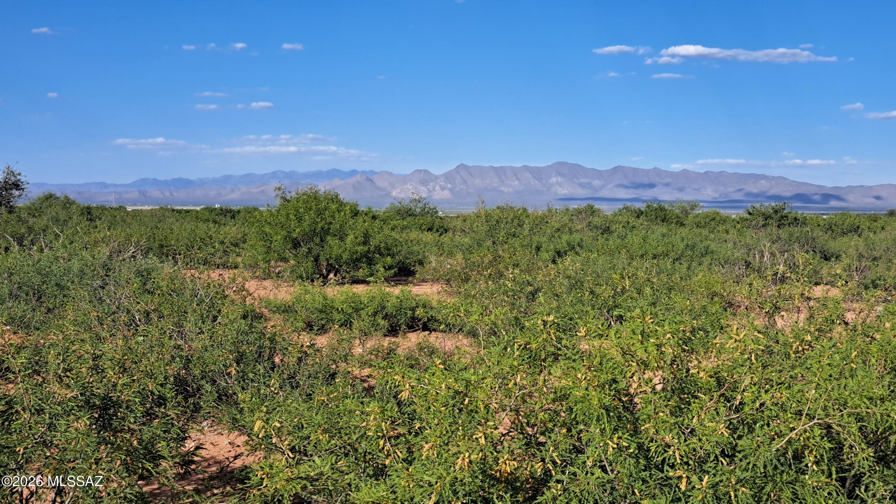 Tombstone Valley Ranches - Land