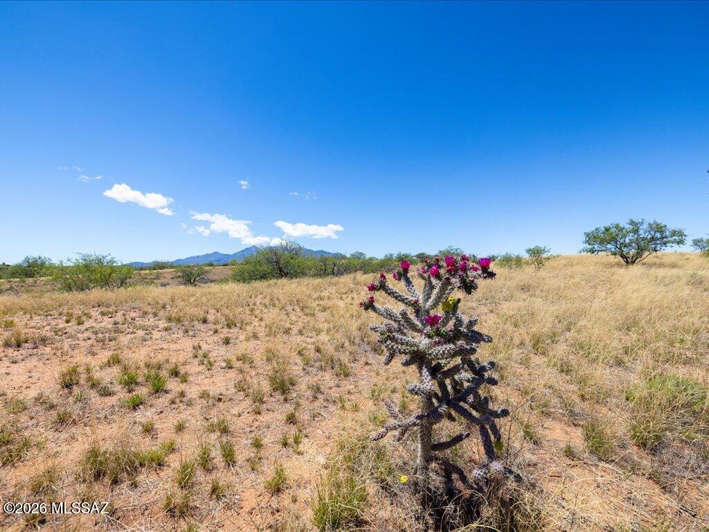 N/A - Land