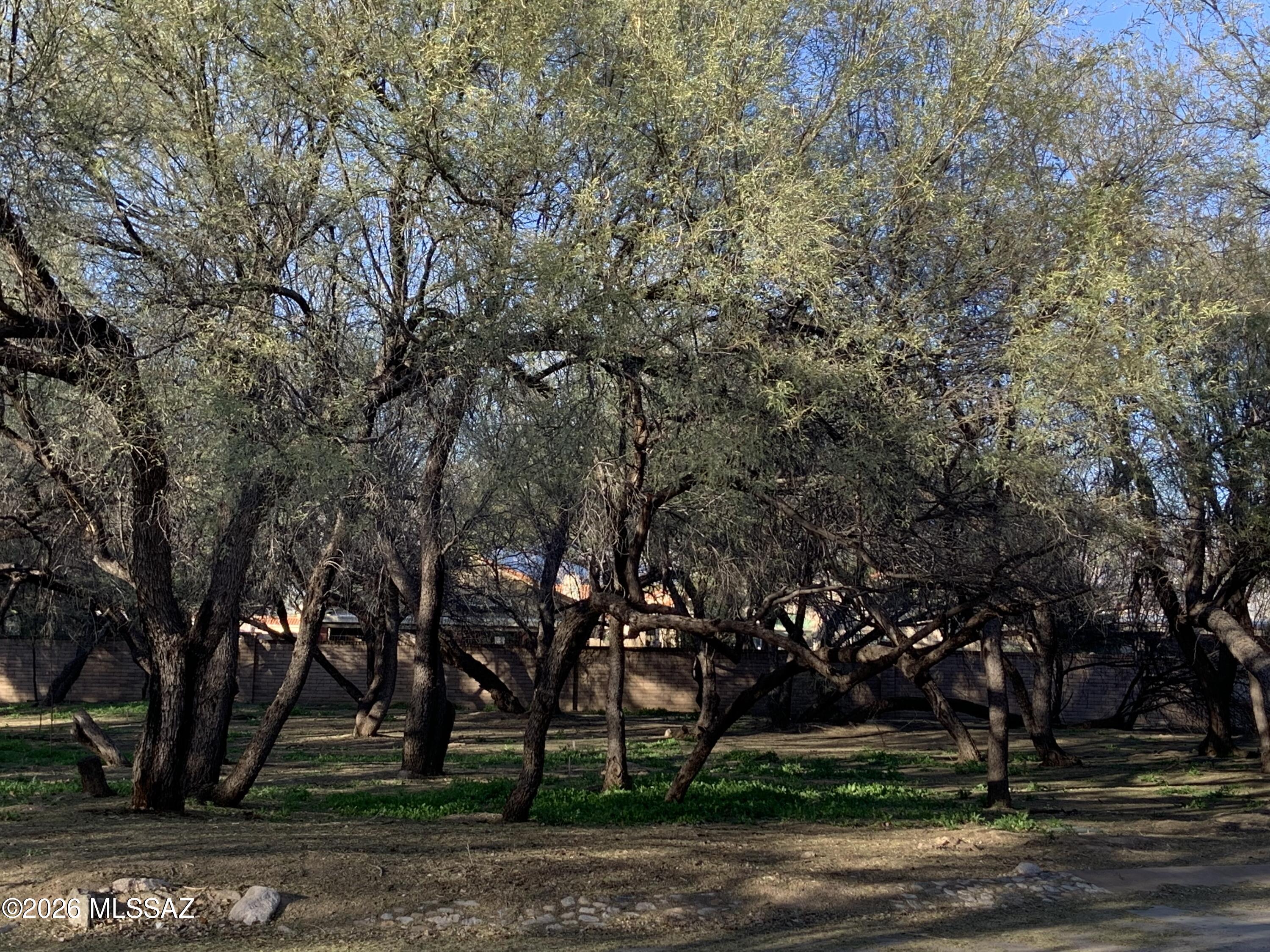 River Forest (1-20) - Land