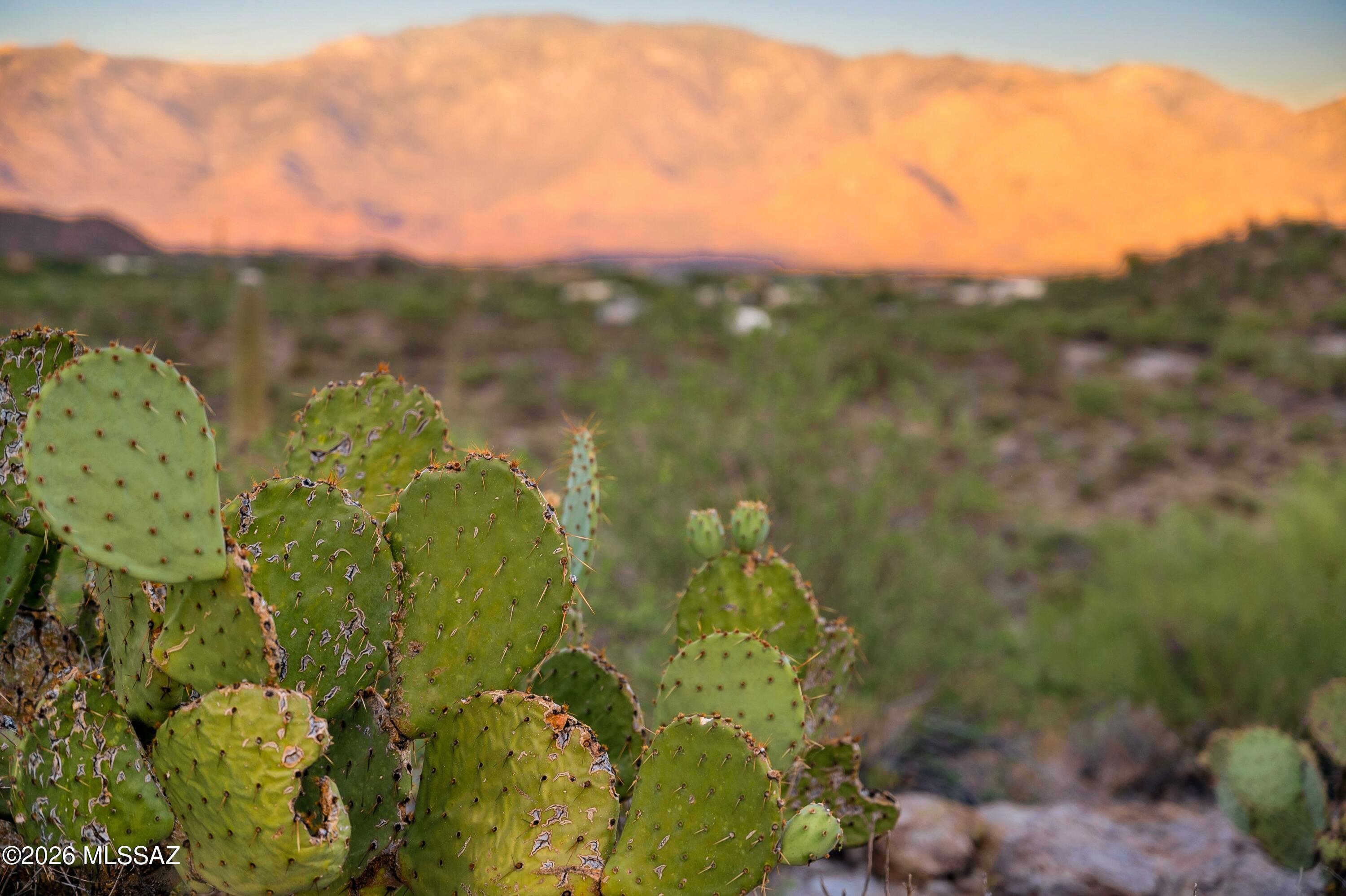 A rare opportunity to own 20 pristine acres bordering the prestigious Stone Canyon community. This exceptional off grid luxury homesite offers breathtaking panoramic views stretching across the Tucson valley to the majestic Catalina and Tortolita Mountains, creating a setting that feels worlds away while remaining conveniently close to Oro Valley's premier amenities.
Surrounded by towering saguaros, native desert vegetation, and abundant wildlife, this remarkable property offers the ultimate in privacy, serenity, and natural beauty. Accessible by a well maintained dirt road, the drive only adds to the sense of arriving at your own private desert sanctuary.Whether your vision is a world class custom estate, an exclusive family retreat, or a long term investment, the possibilities are extraordinary. With a minimum lot split of approximately 3.3 acres, the property also offers exceptional development potential for multiple luxury homesites.
Experience the rare combination of unmatched views, complete privacy, and endless possibilities on one of Southern Arizona's most spectacular desert parcels. Build your dream. Preserve your legacy. Invest in a piece of the Sonoran Desert that can never be duplicated.