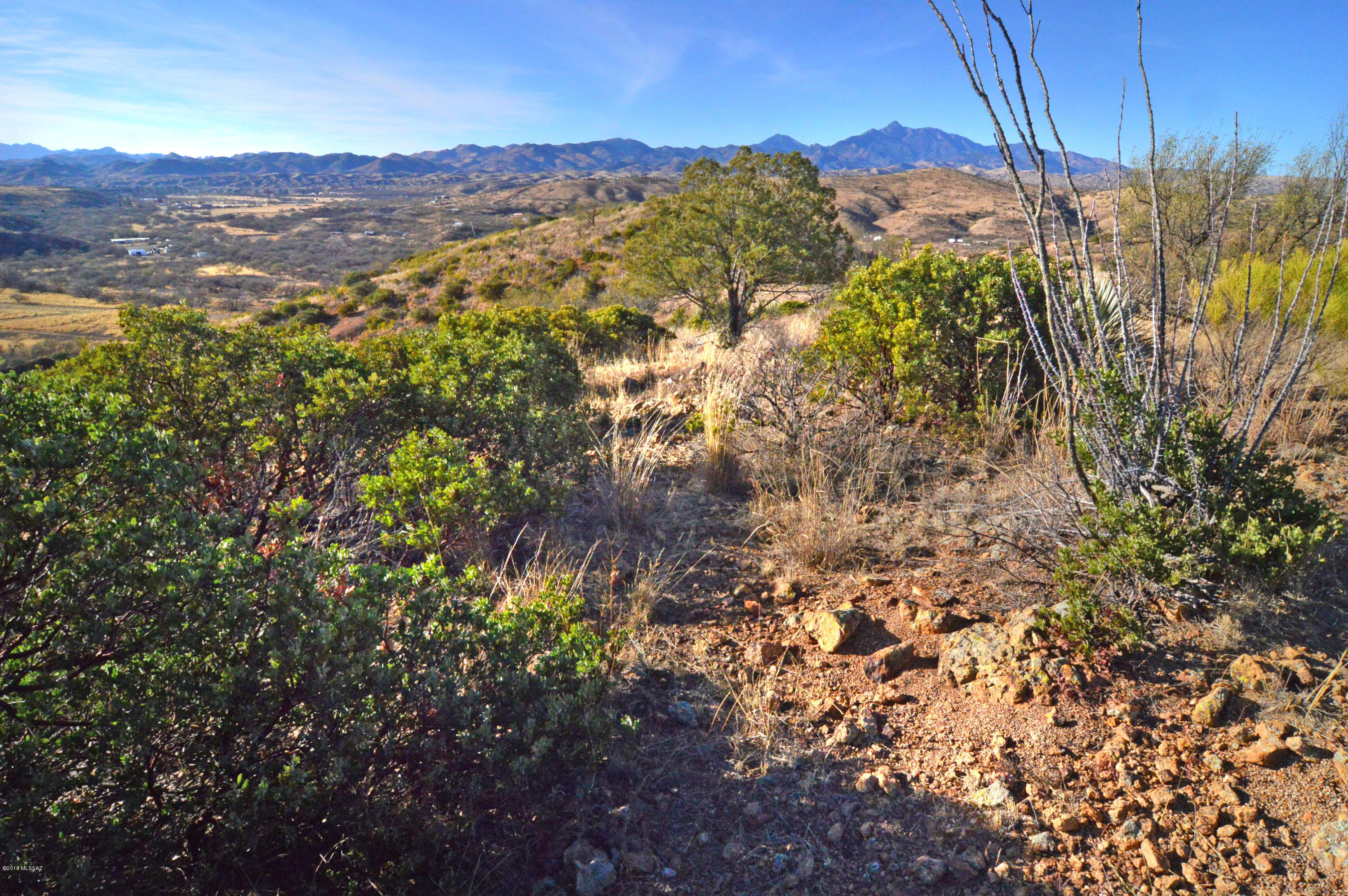 Out Of Pima County - Land
