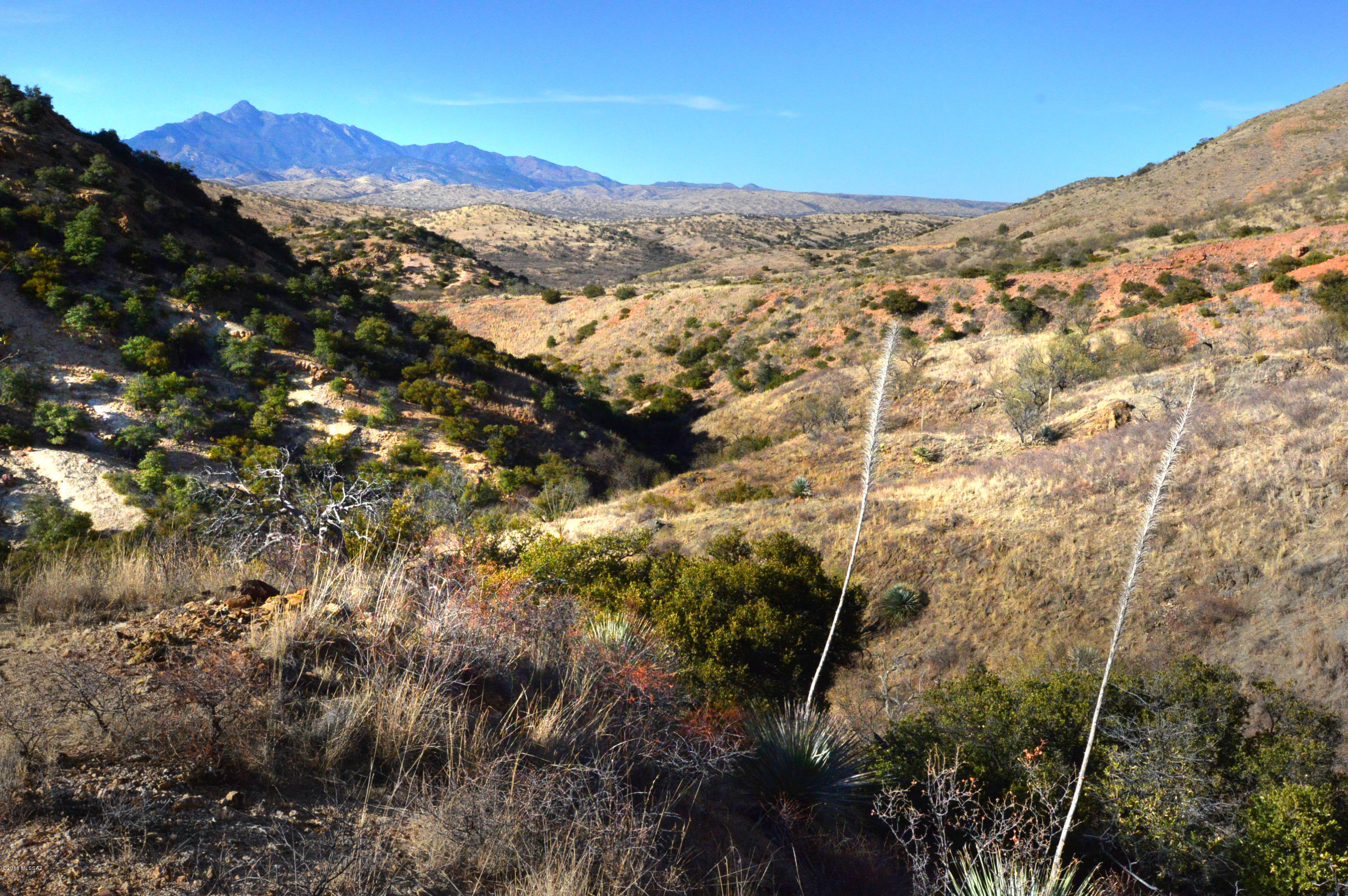 Out Of Pima County - Land
