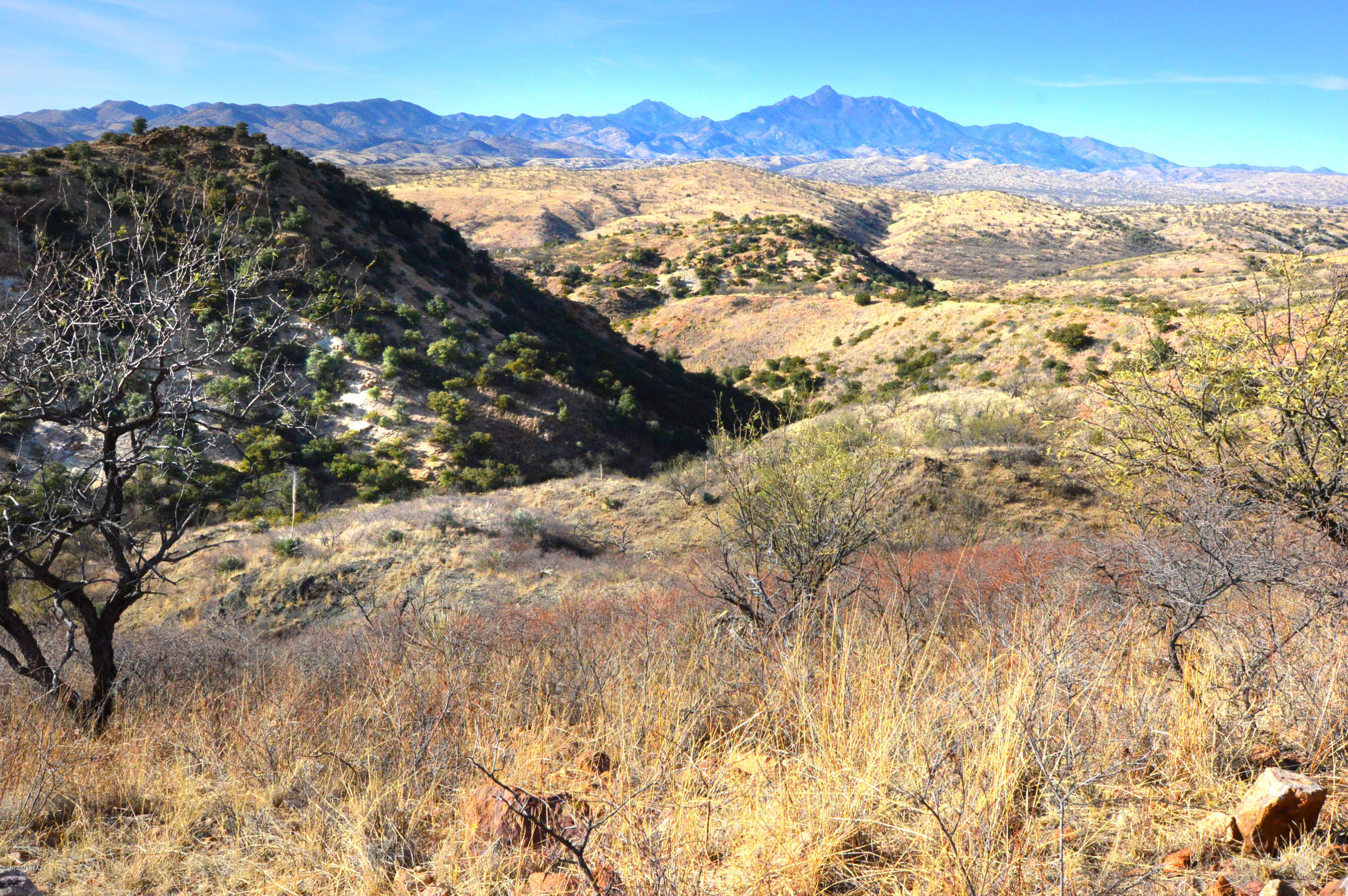 Out Of Pima County - Land