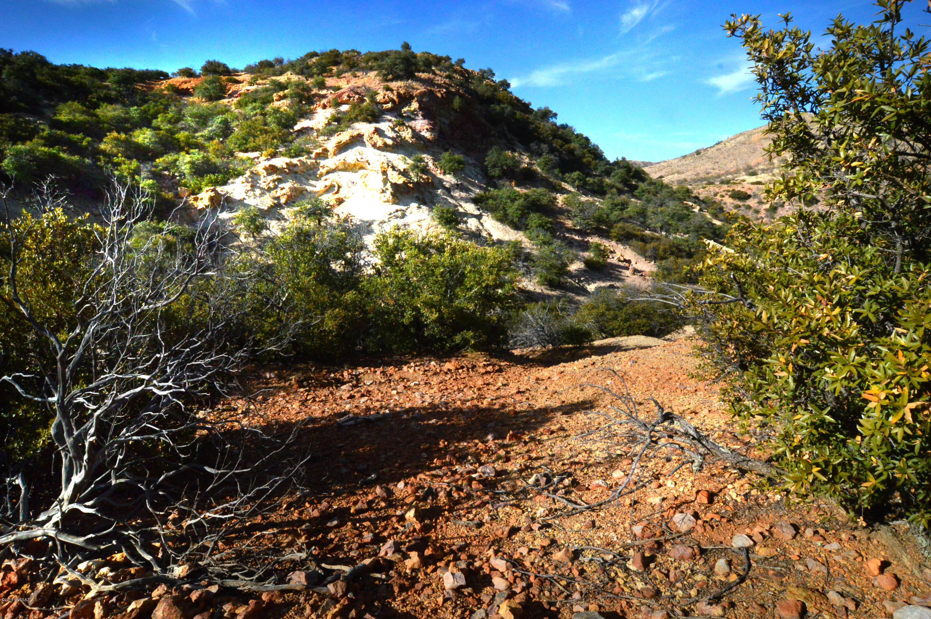Out Of Pima County - Land