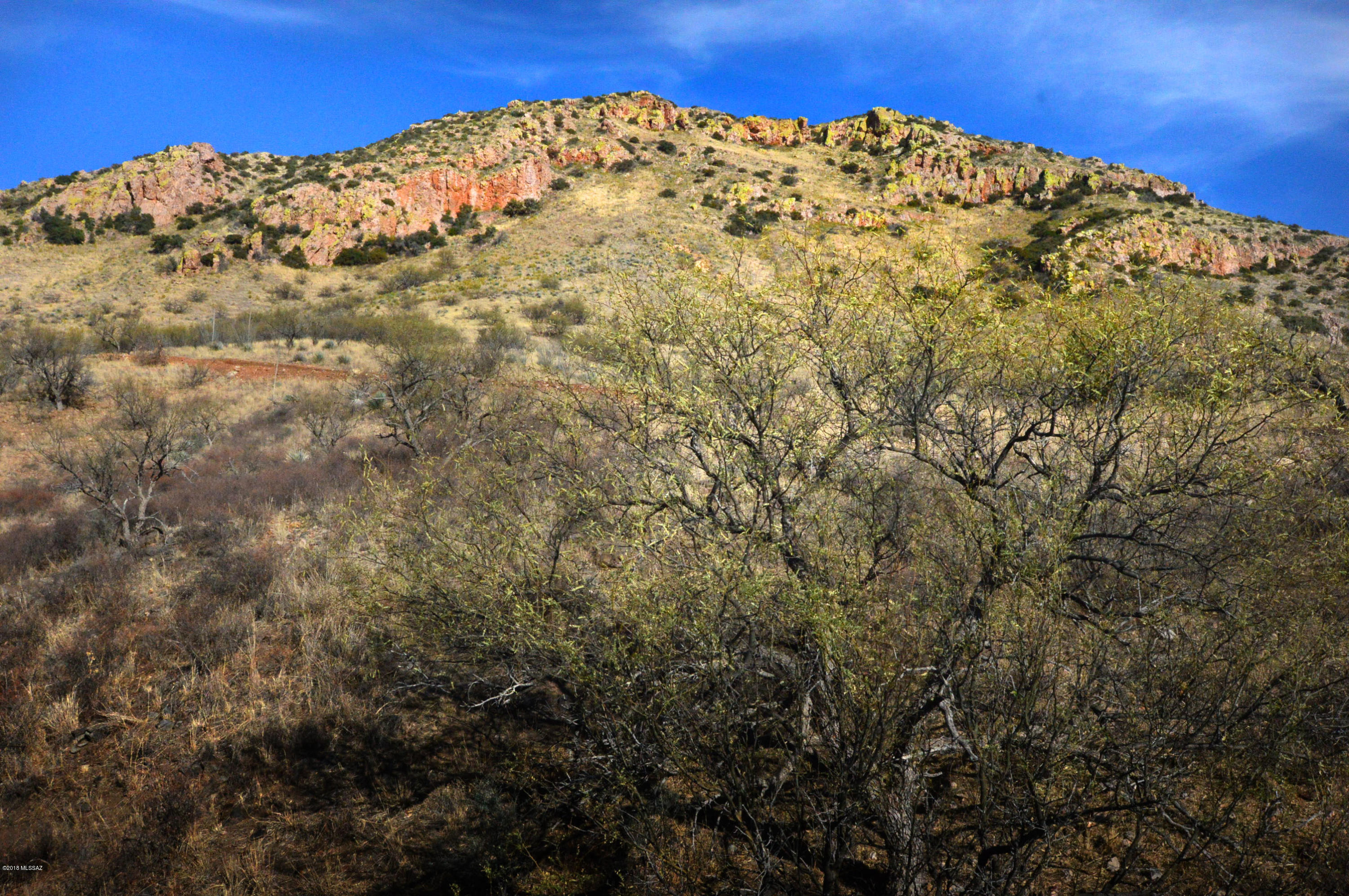 Out Of Pima County - Land