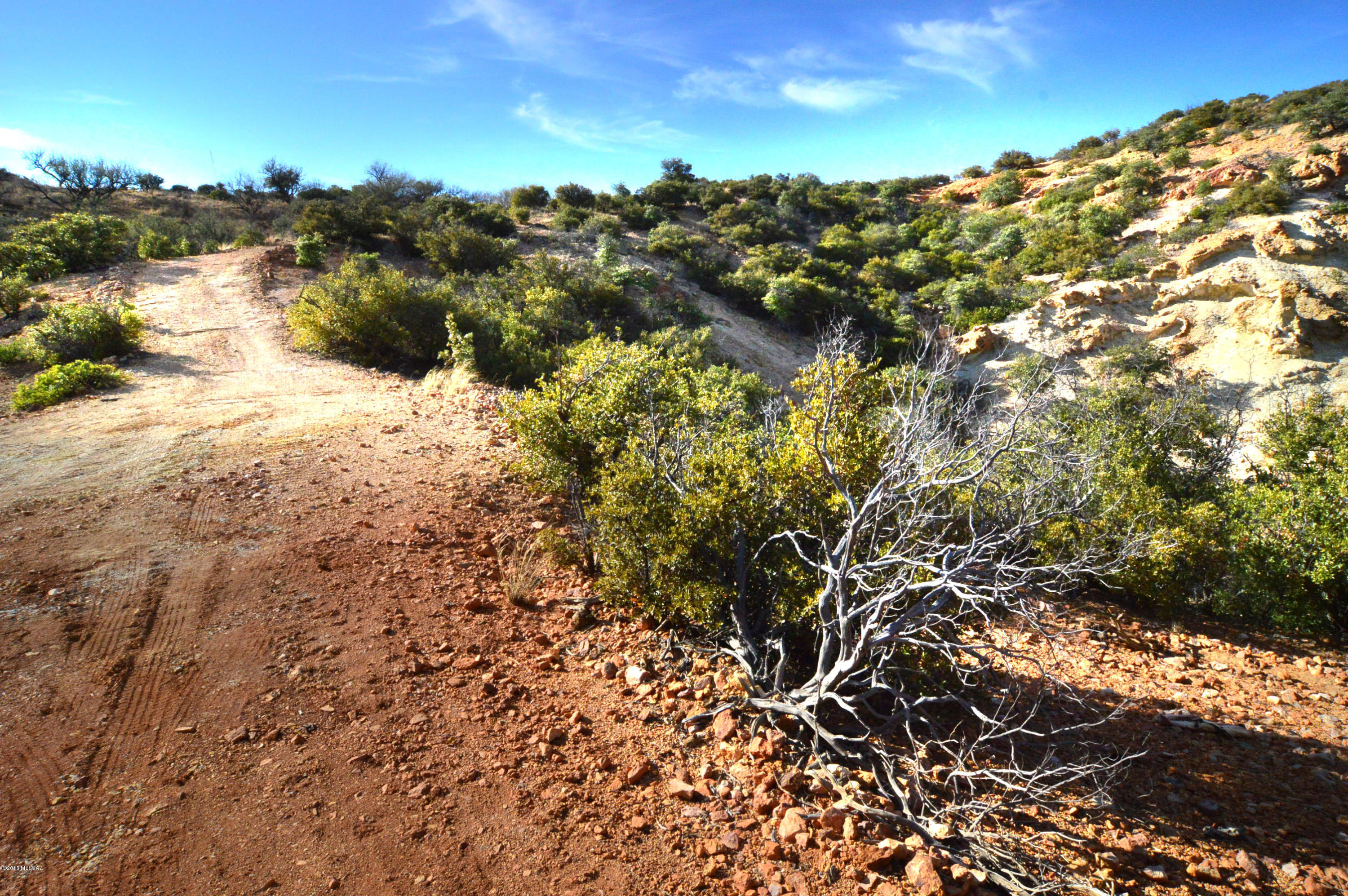 Out Of Pima County - Land
