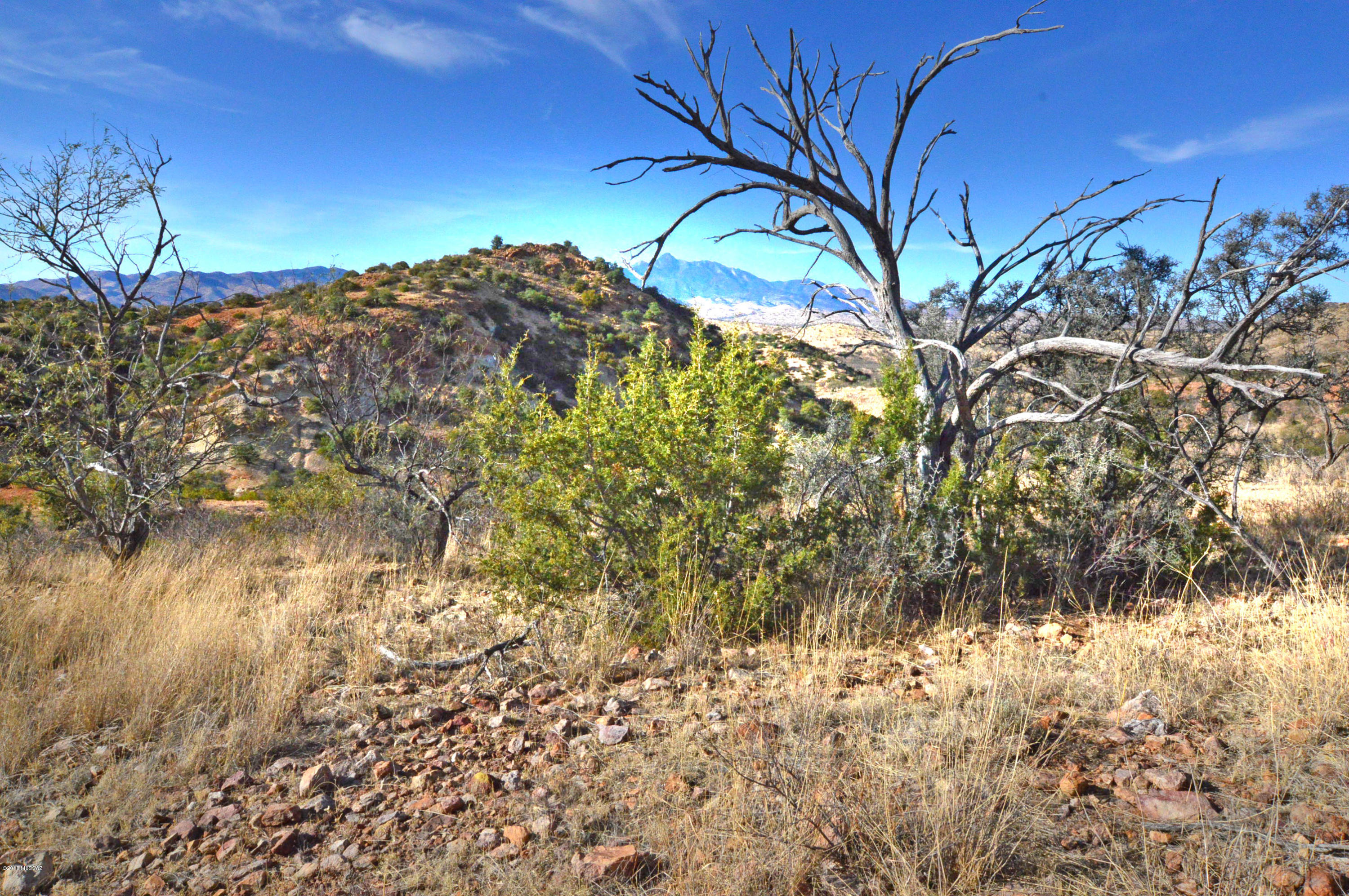 Out Of Pima County - Land