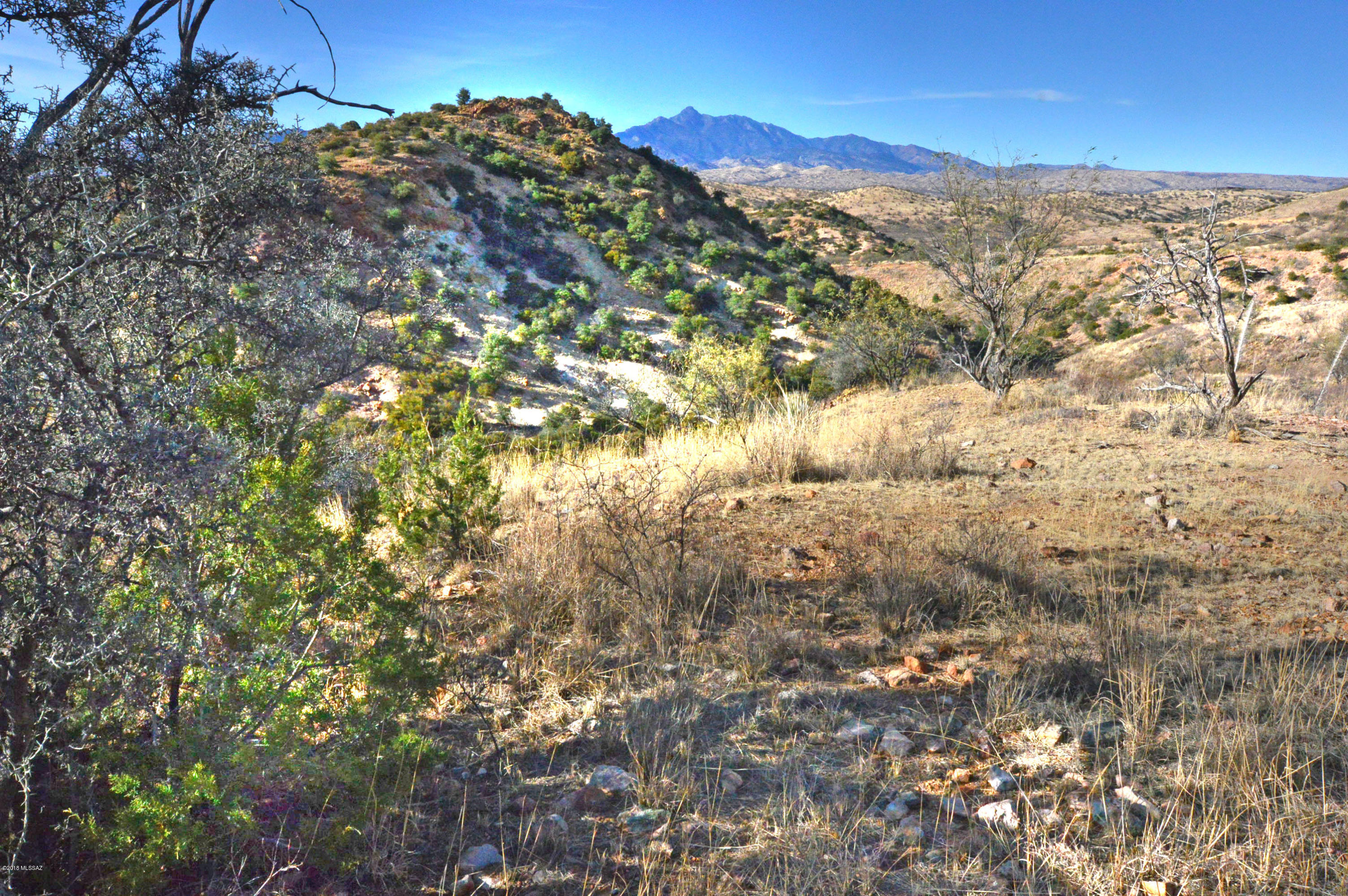 Out Of Pima County - Land
