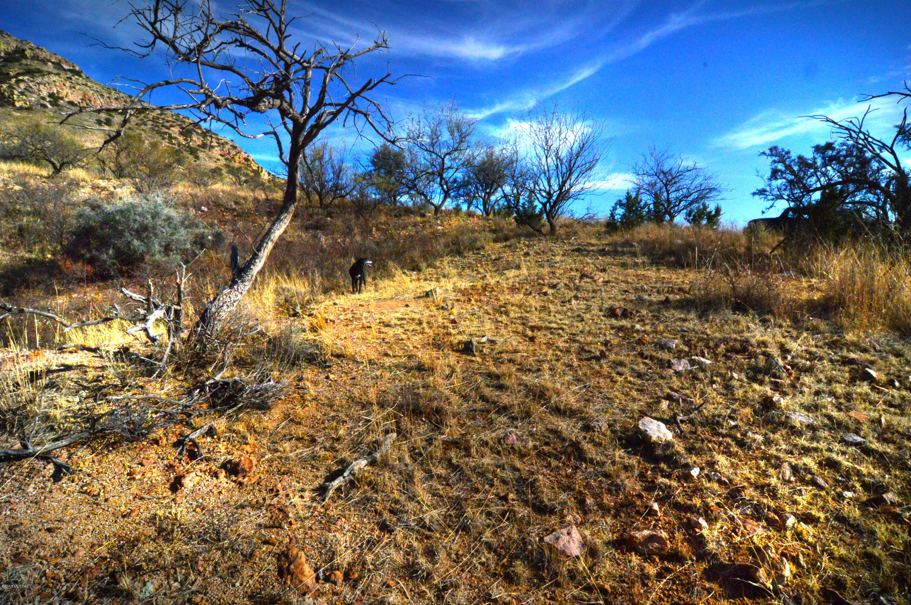 Out Of Pima County - Land