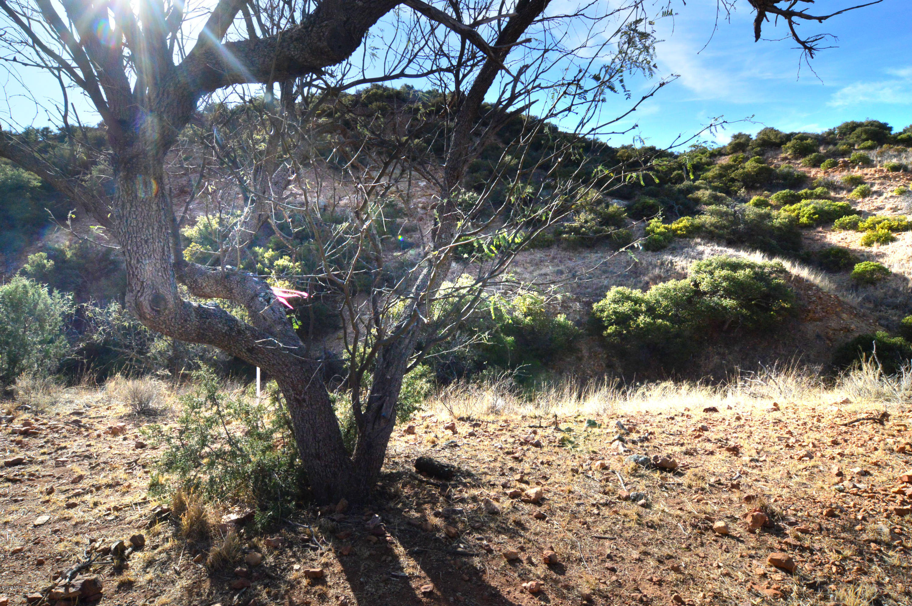 Out Of Pima County - Land