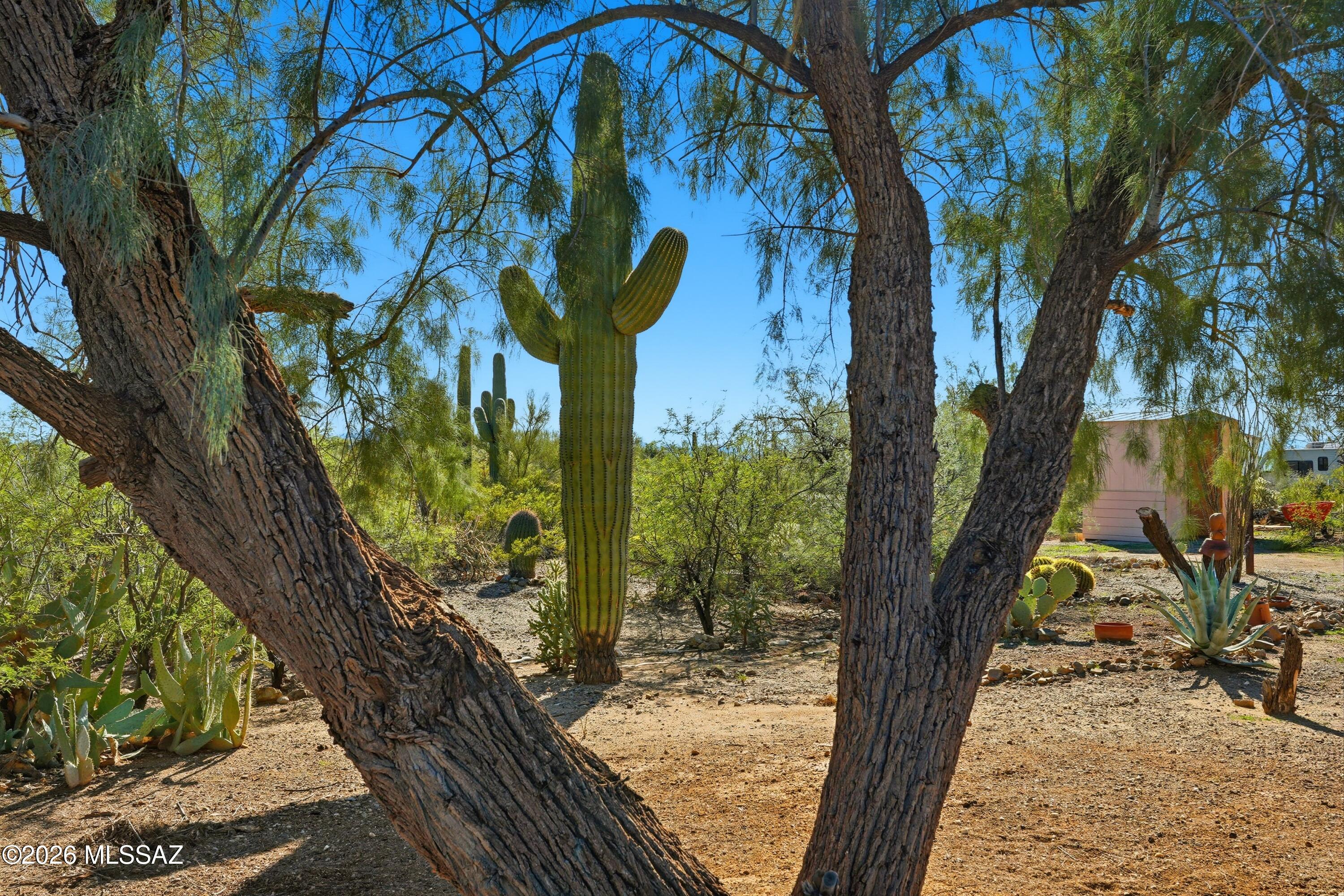 Tucson Mountain Ranch - Residential