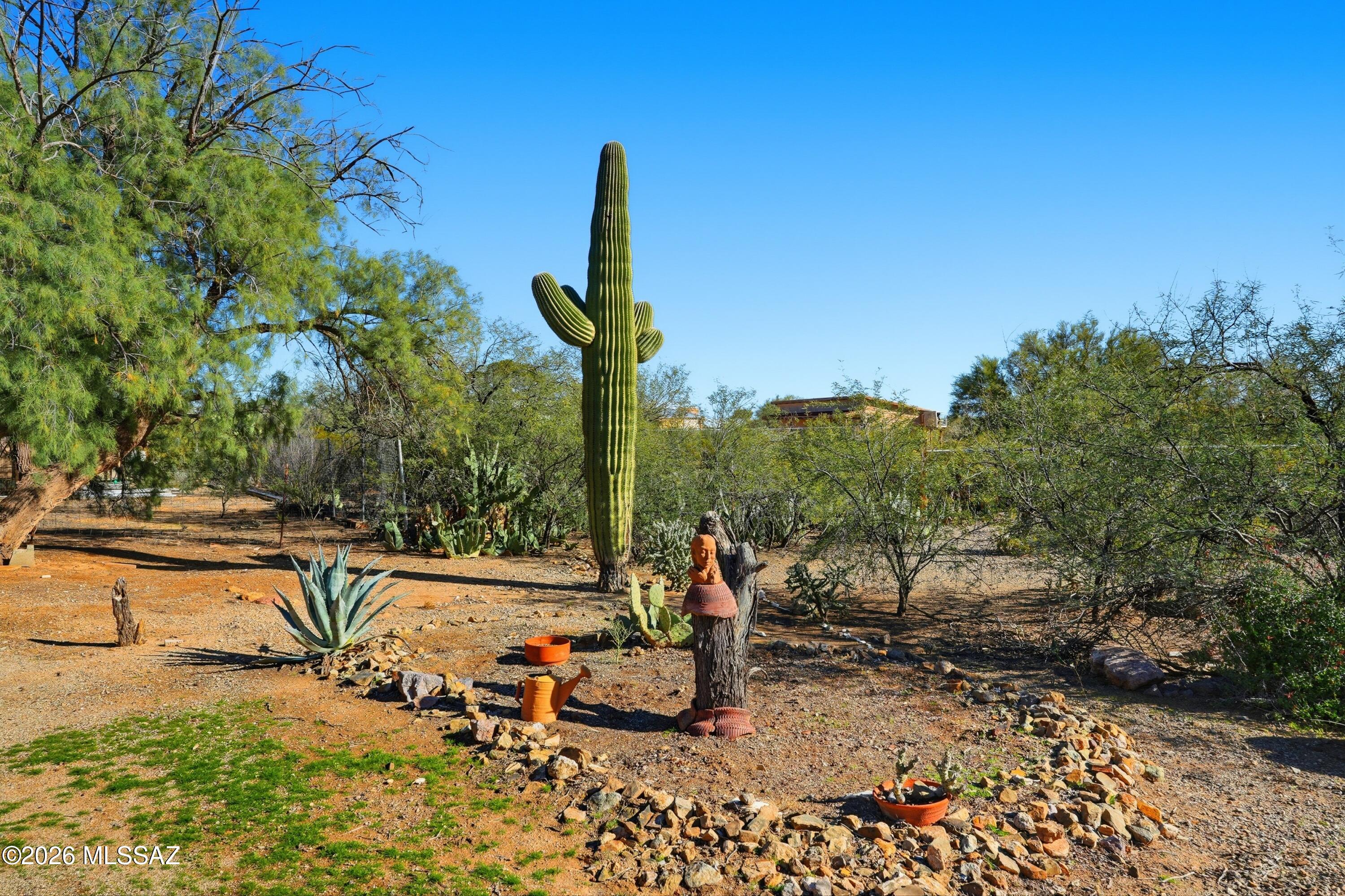 Tucson Mountain Ranch - Residential