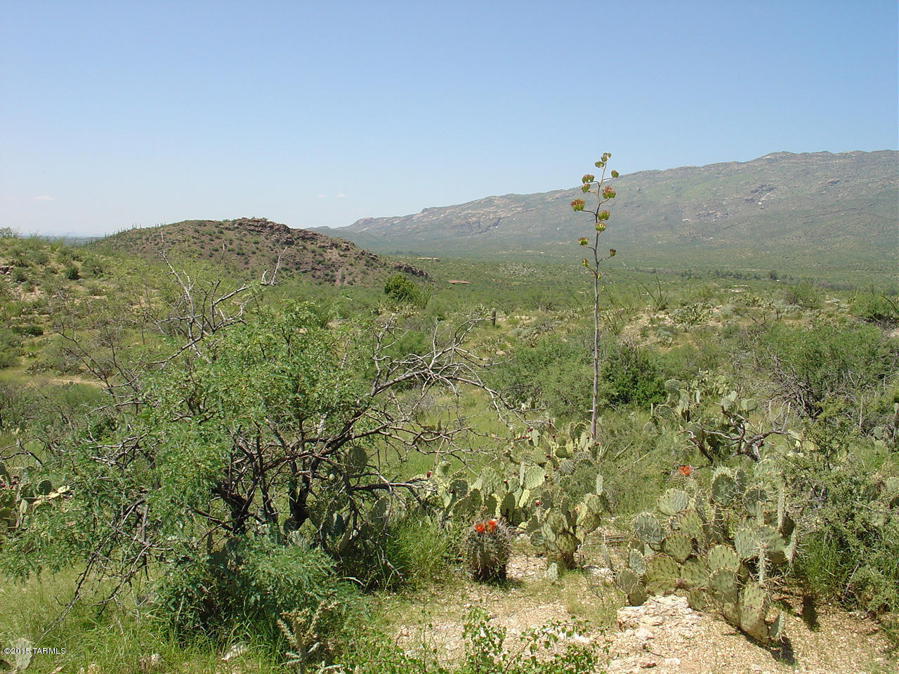 X9 Ranch - Land