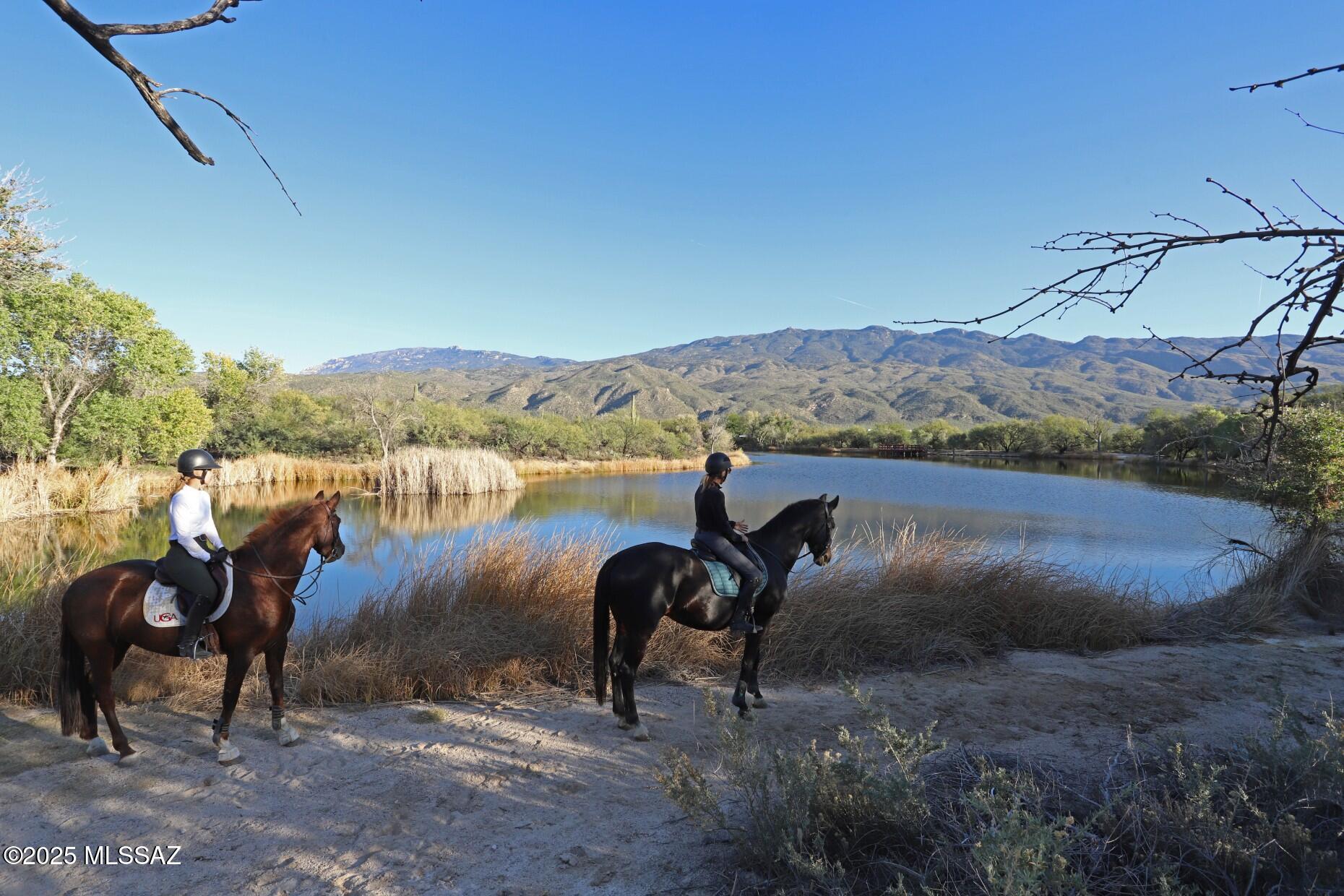 Enjoy your equestrian oasis featuring over 1,650SF four-stall barn with wash stall, tack room, arena, round pen, paddock, and covered stall to satisfy all equestrian activities. Surrounded by 4.74-acres of saguaro studded land and breathtaking views of the Rincon and Catalina Mountains. La Cebadilla Estates has its own private lake for fishing and scenic horse trails. Easily take your horse out the back gate onto the numerous horse trails with direct access to the Saguaro National Park East & Coronado National Forest. This architecturally striking home is great for entertainment featuring multiple living spaces and over 1,350SF of covered patio. The front, back, and side yard are enclosed allowing the family and pets to have fun without venturing too far. A perfect balance for every horse lovers' dreams; rural charm but close to shopping, schools and all the amenities of the city.