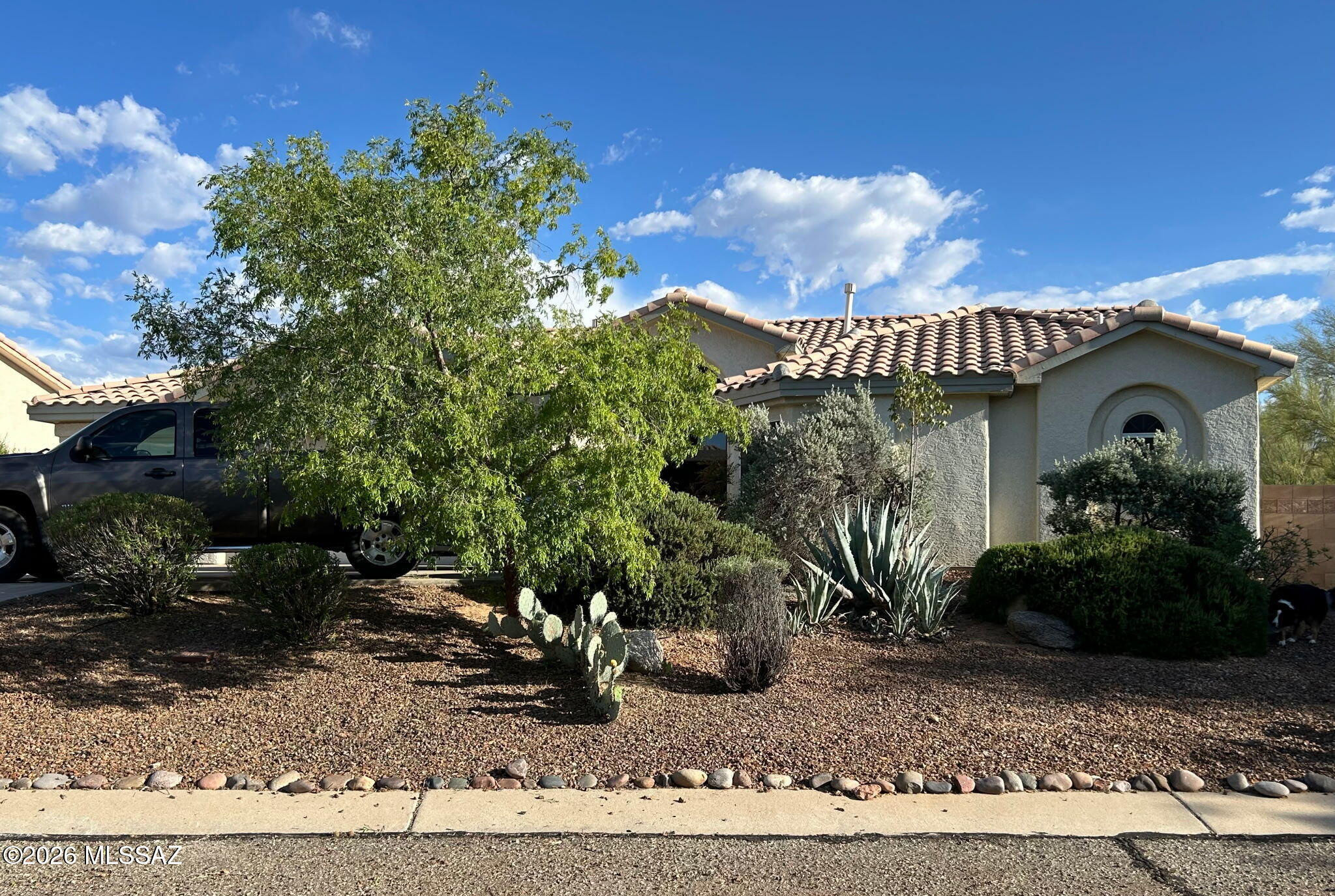 Stunning 4 bedroom, 2 1/2 bath home in Casa Adobes Terrace. This home offers a three car garage and sparkling pool. New cool deck applied in 2026. Tile floors professionally cleaned in 2026. Professional duct cleaning in 2026. Guest rooms with jack and jill bath. Large primary suite with dual vanities and storage. Amazing outdoor living, extended covered patio, private yard, fully landscaped w/ artificial grass. Great for entertaining!