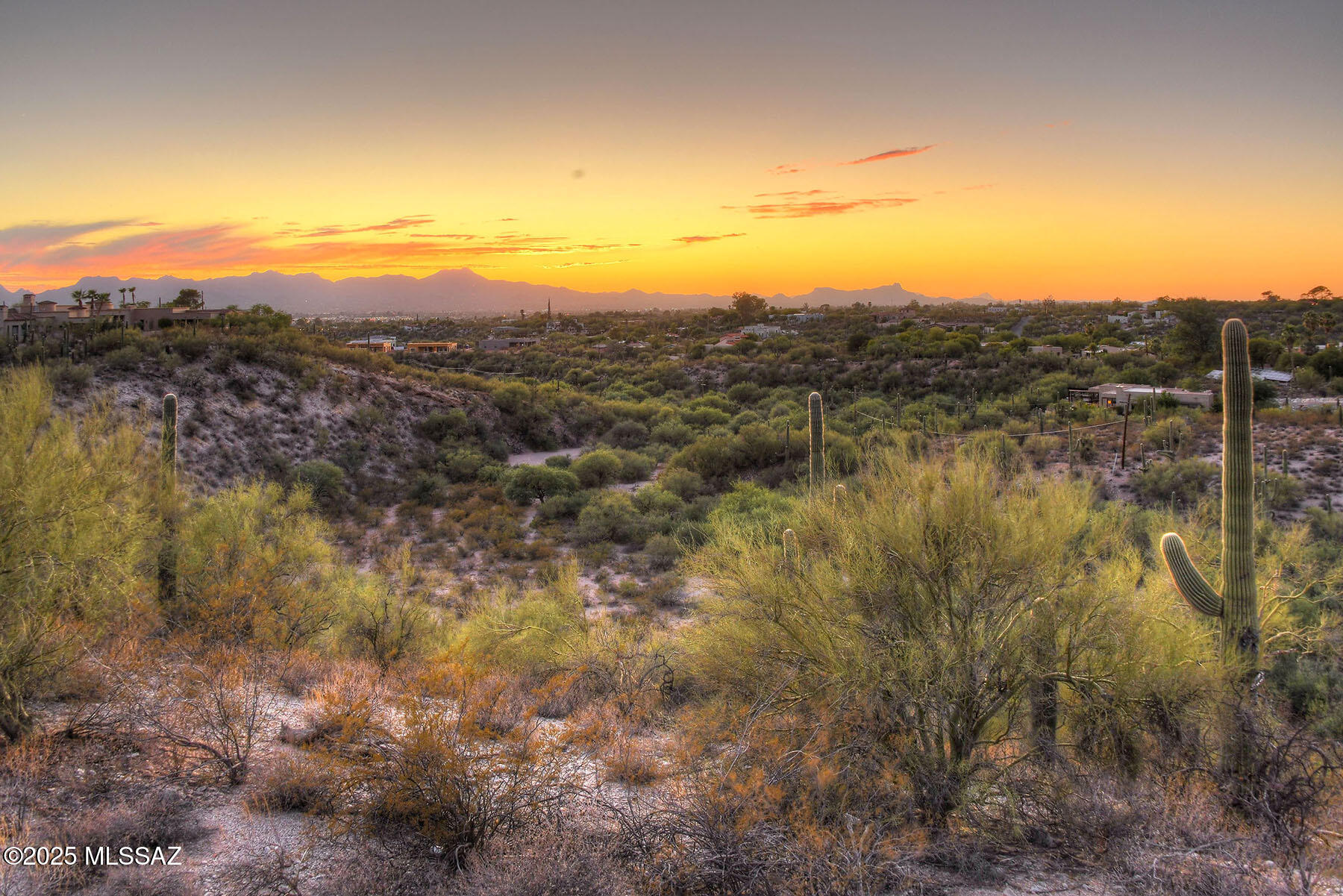 Quintana in the Catalina Foothills - Land