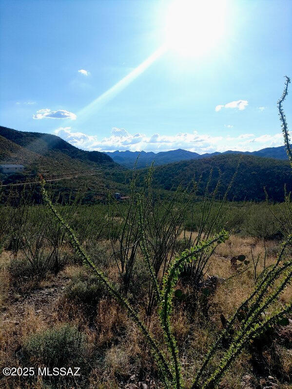 The view from the top of this 7-acre property is awesome! Located in the historic Hilton Ranch area, this well thought out lay land split has a 3-part well share with legal utility access to the well and to bring the power up from the Hilton Ranch Rd just below.  Also there is a legal access driveway taking you right to the border of your ridge top sanctuary, if you so desire. This property has its own water shed that you could shape into a Permacultere catch basin, or let your imagination run wild.  No HOA, No Hassle.
  Our Sign is located at the start of the Access Rd, where this road ends at the top is the border to this land.
  Please see the Plat Map and survey with the photos.  Seller is very Motivated to Sell.