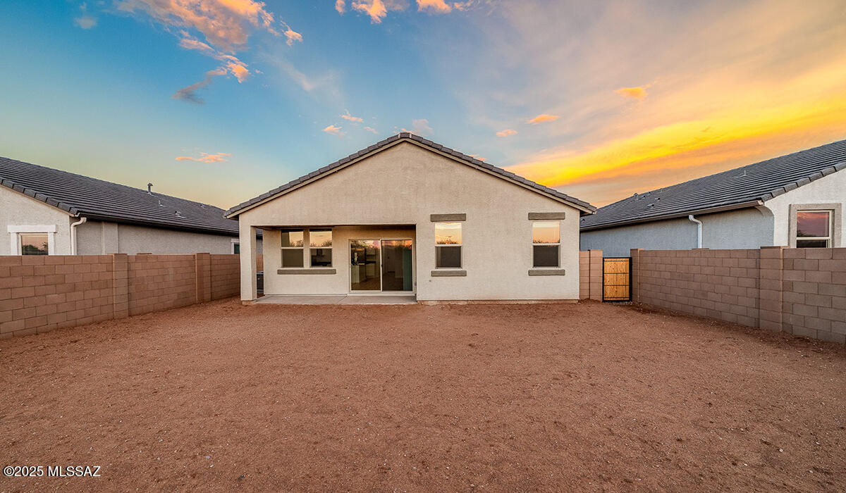 Saguaro Bloom SQ20180540069 - Residential