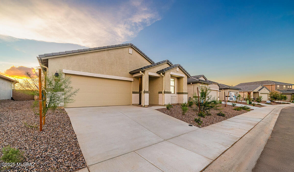 Saguaro Bloom SQ20180540069 - Residential