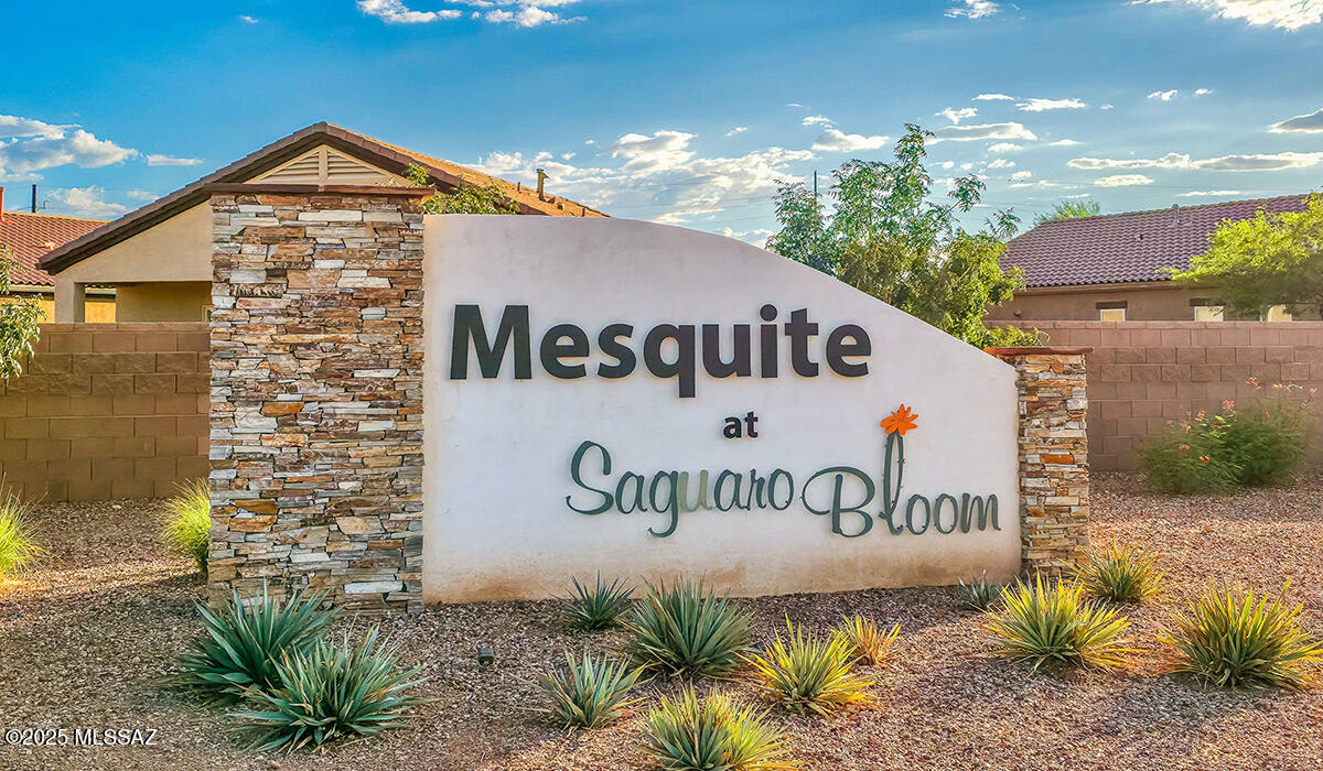 Saguaro Bloom SQ20180540069 - Residential