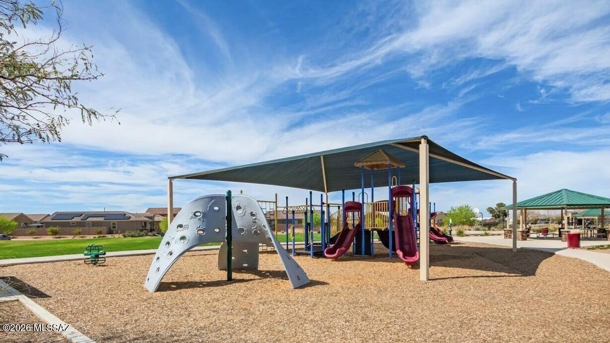 Saguaro Bloom SQ20180540069 - Residential