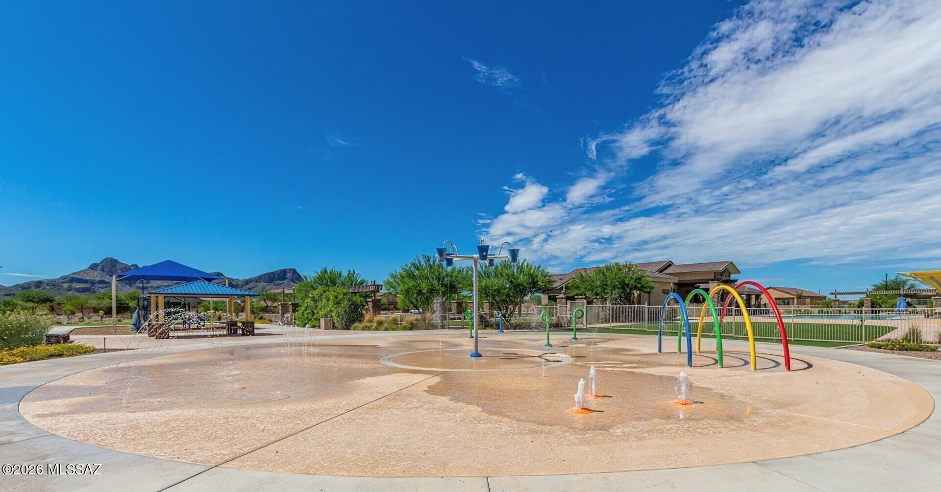 Saguaro Bloom SQ20180540069 - Residential