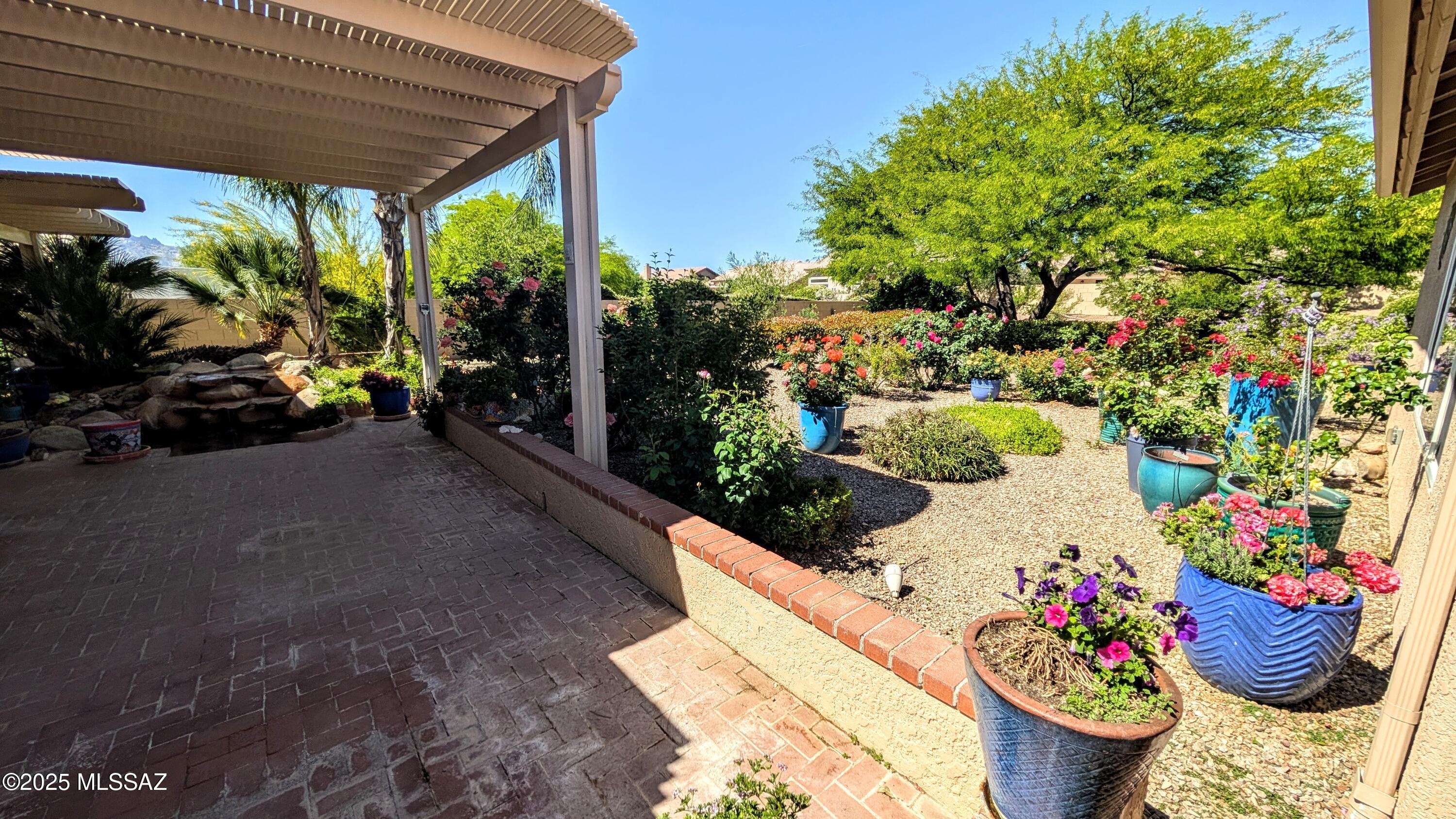Saddlebrooke - Residential Lease