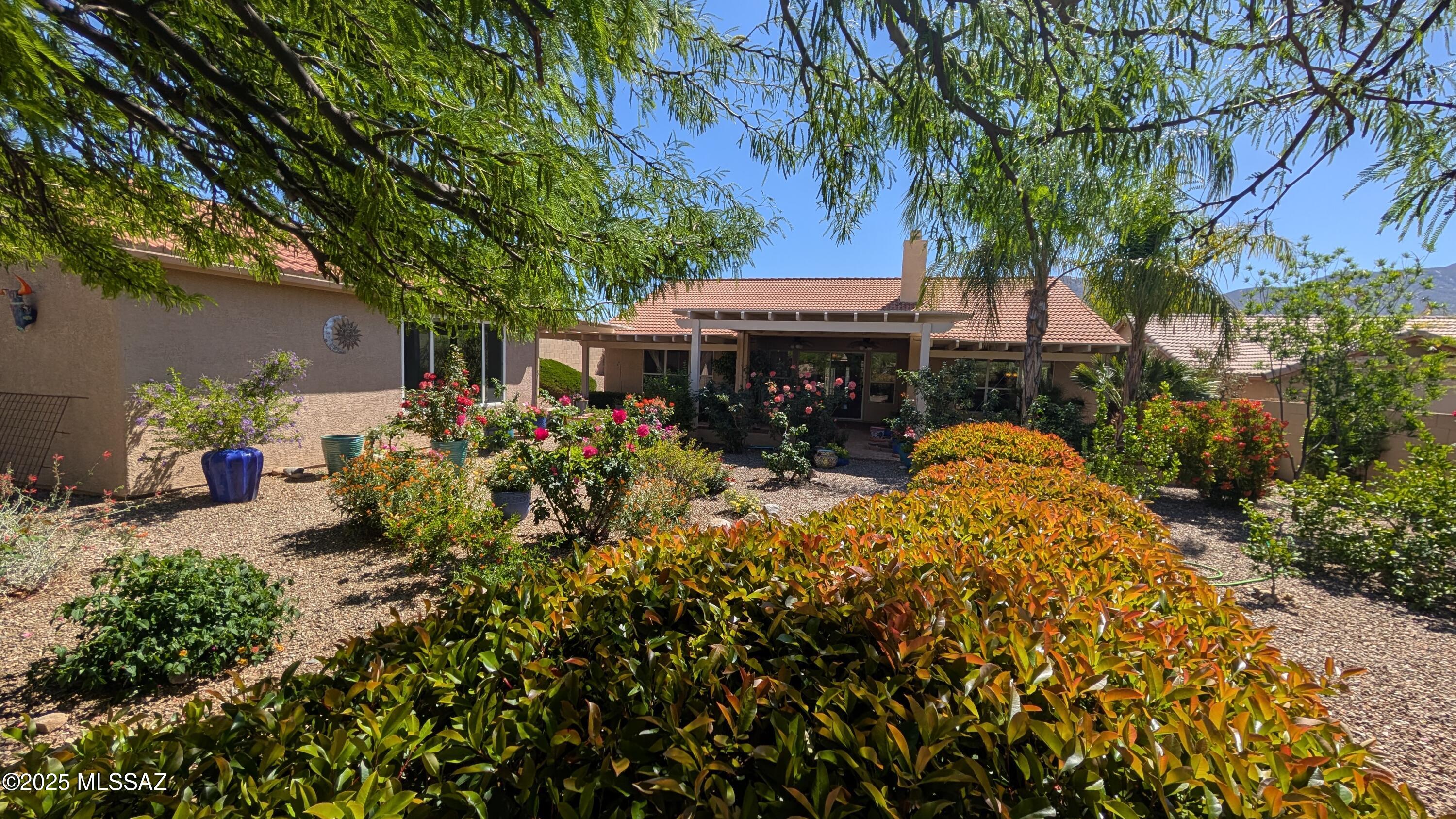 Saddlebrooke - Residential Lease