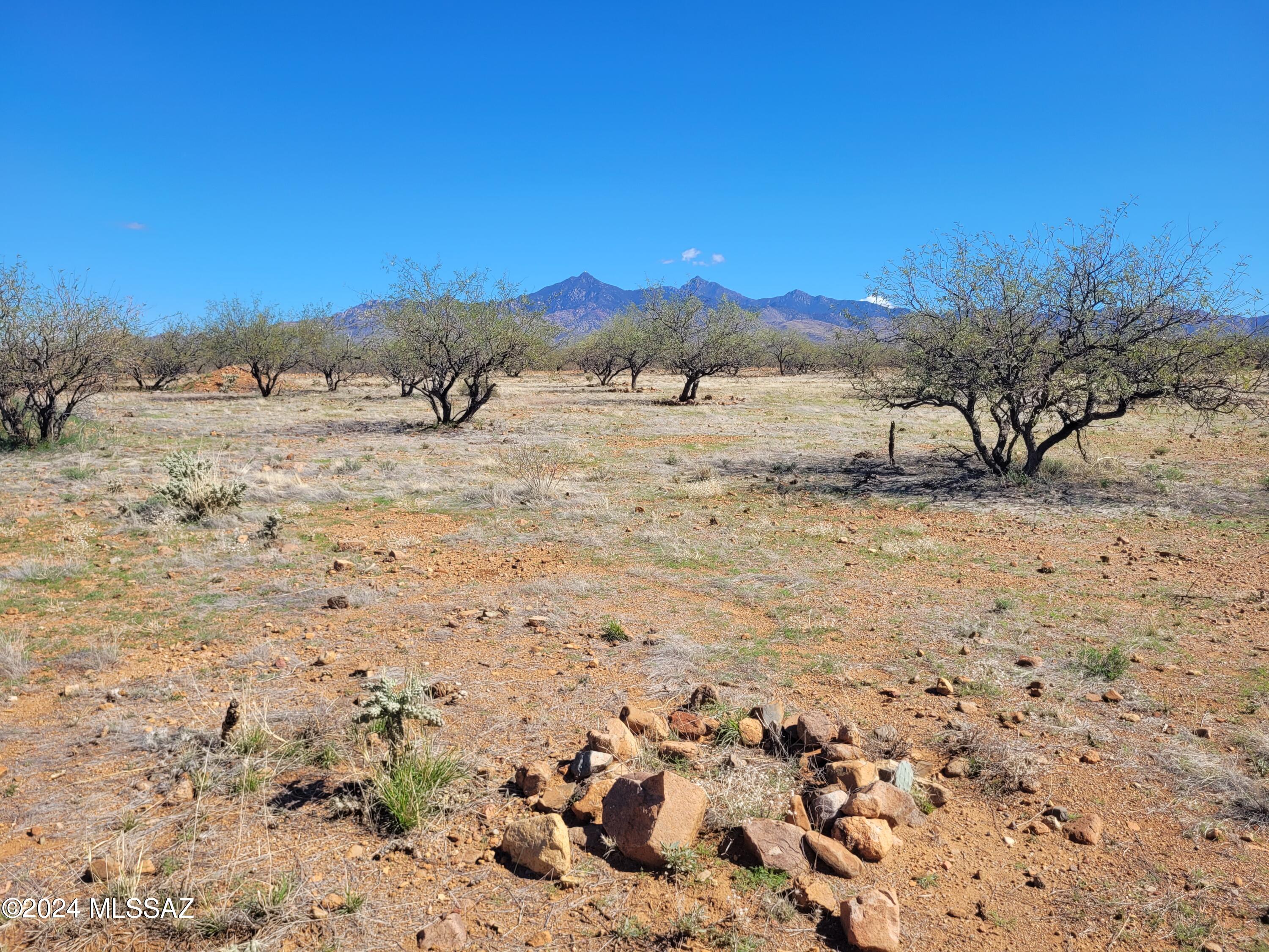 Tubac Foothills Ranch - Land