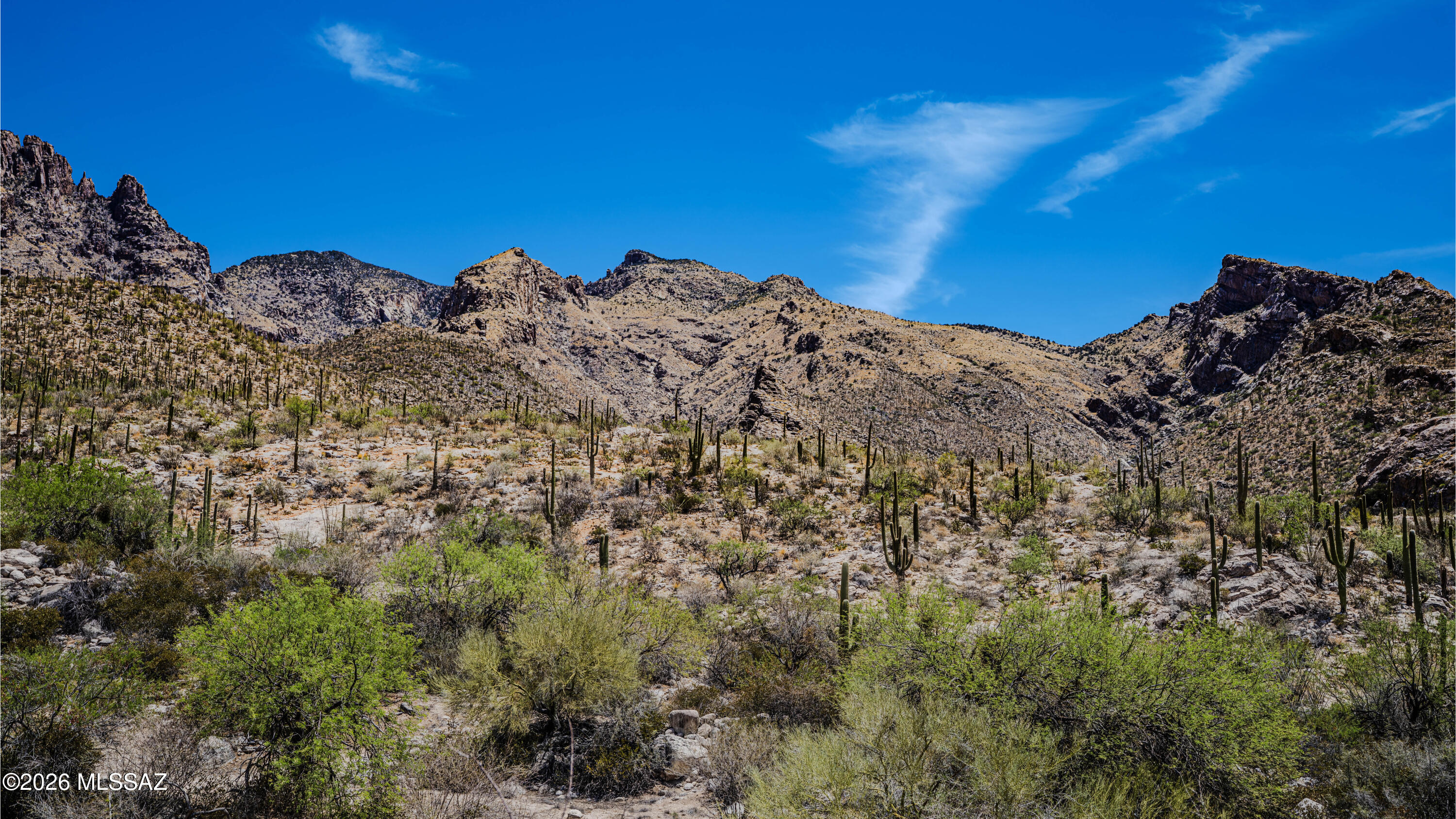 The Summit at Finger Rock (1-36) - Residential