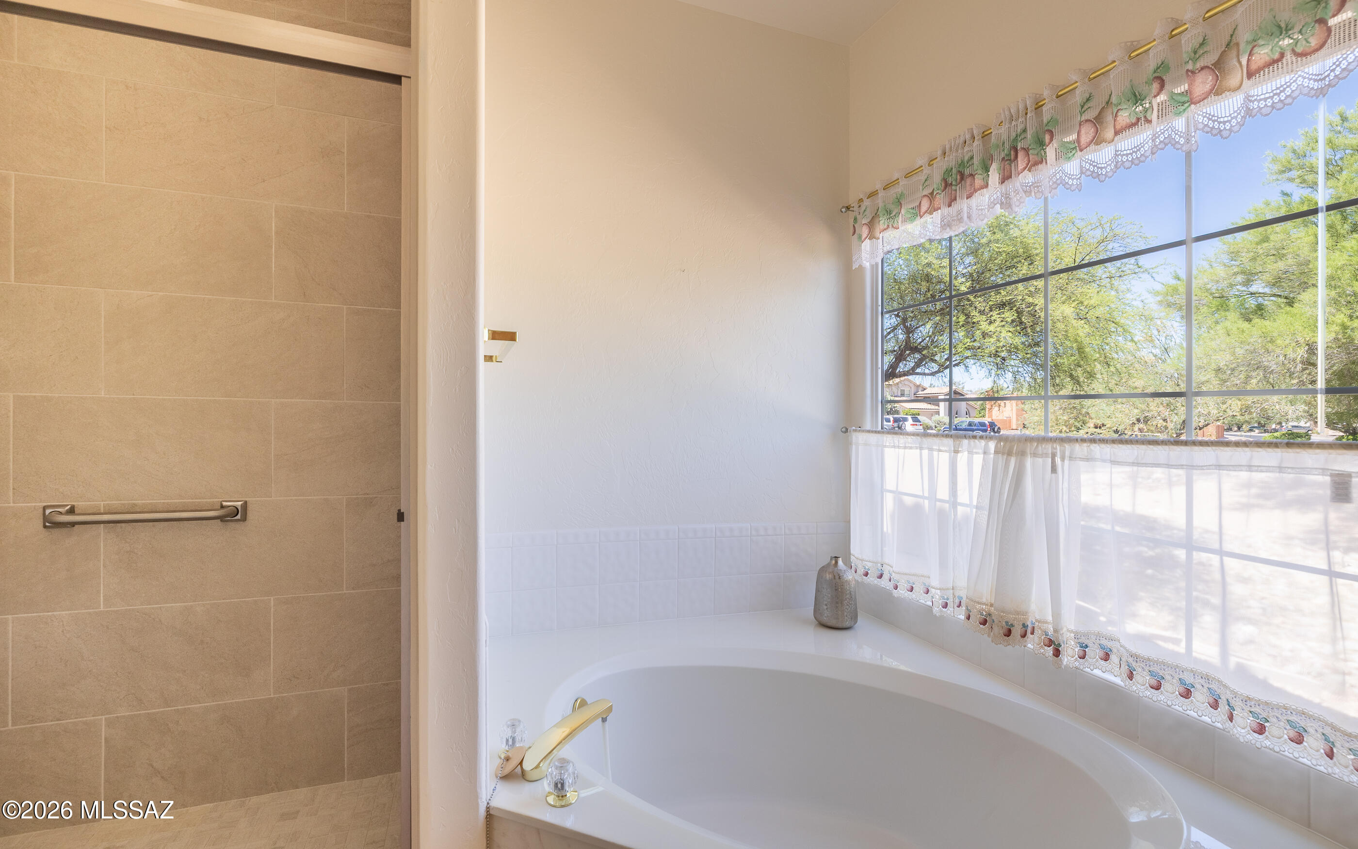Rancho Vistoso Neighborhood 7 (1-317) - Residential