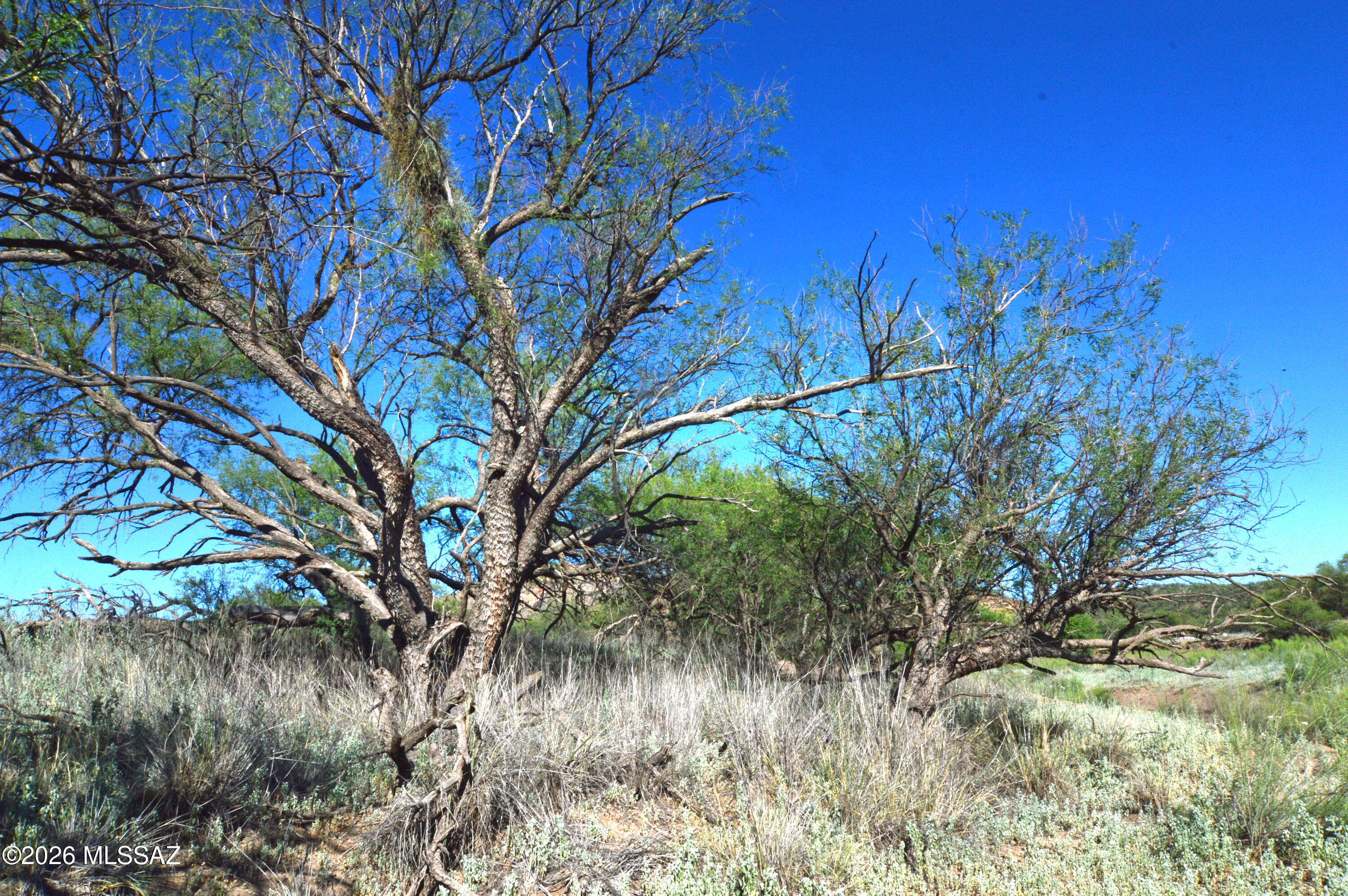 Redrock Acres - Land