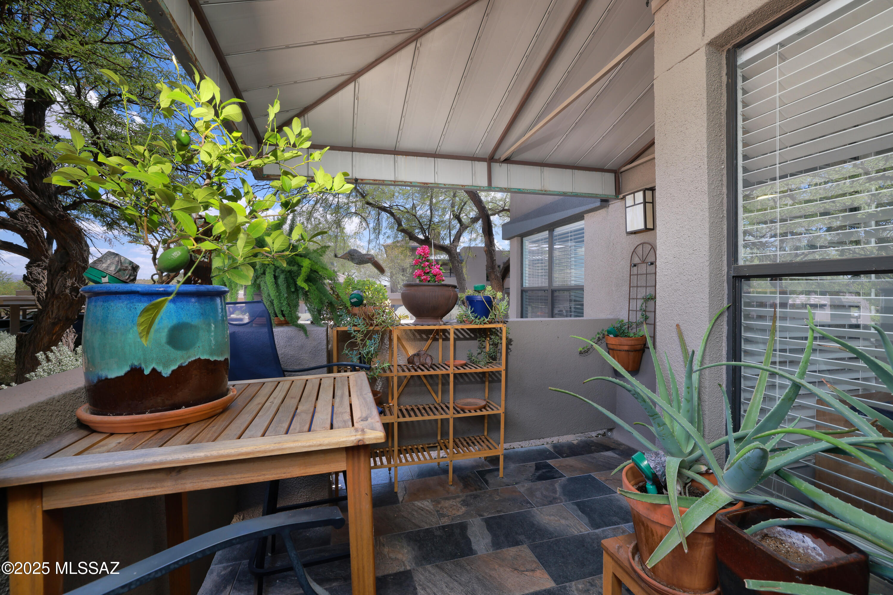 Greens at Ventana Canyon - Residential