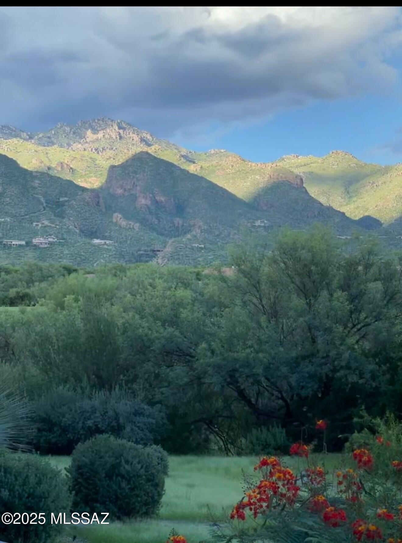 Greens at Ventana Canyon - Residential