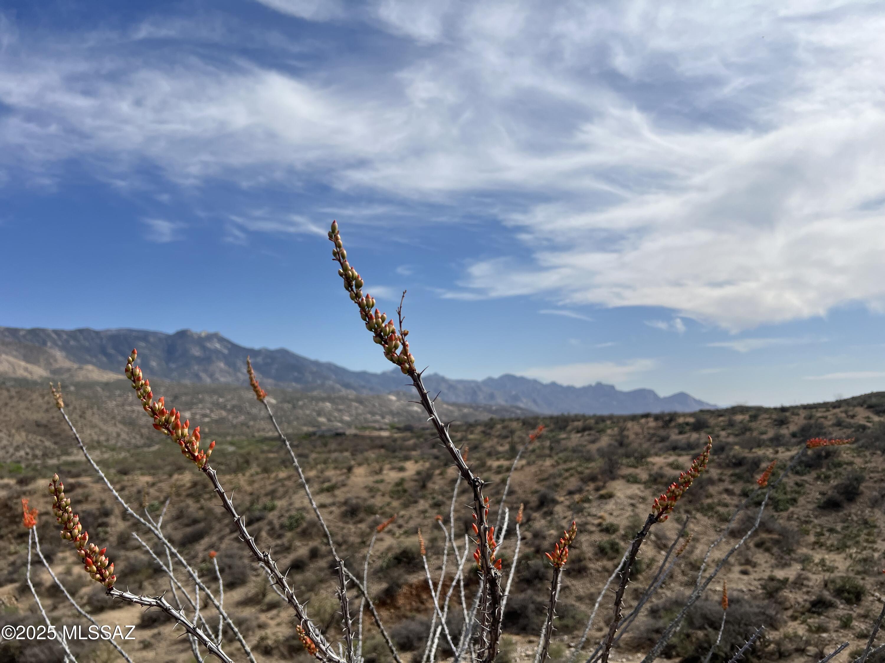 12 acres vacant land at the base of the Catalinas. No HOA, can be split with approval. owner carry available