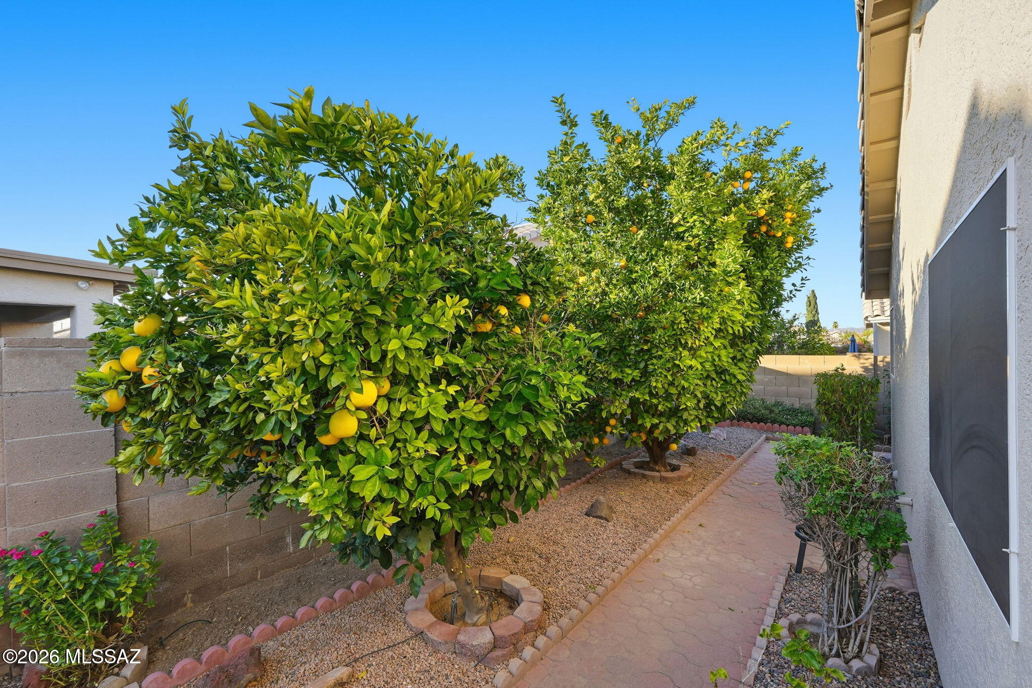 Continental Ranch Parcel 12B (1-69, 71-146) - Residential