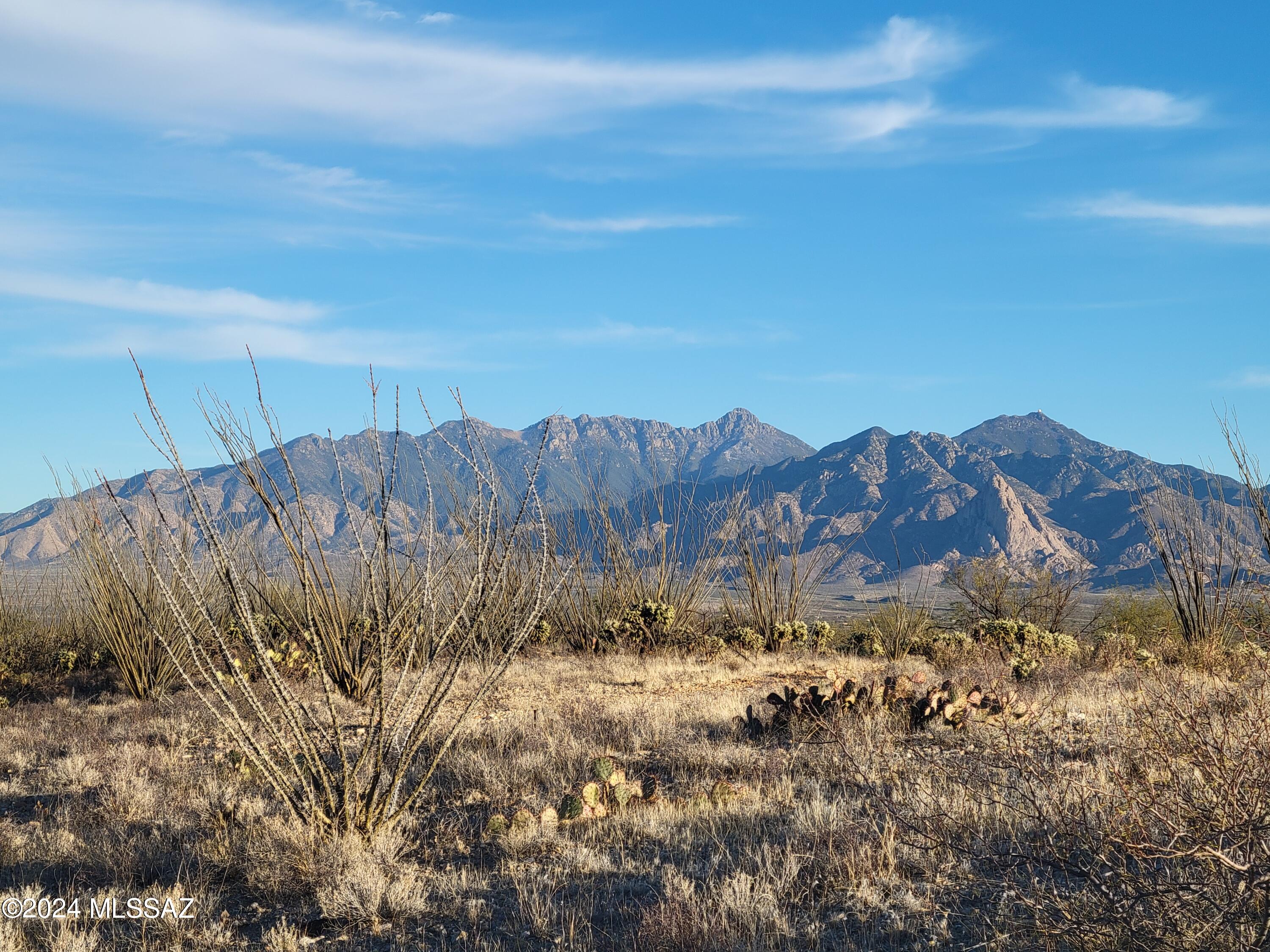Stunning 4.55-acre parcel offering breathtaking mountain views and endless possibilities. This exceptional piece of land is ideal for horse lovers, featuring natural desert landscape filled with beautiful saguaros, cactus, and vibrant ocotillos. With ample space and privacy, the property is perfectly suited for building your custom dream home. Enjoy peaceful desert living with panoramic vistas, open skies, and the freedom to create your own private retreat.