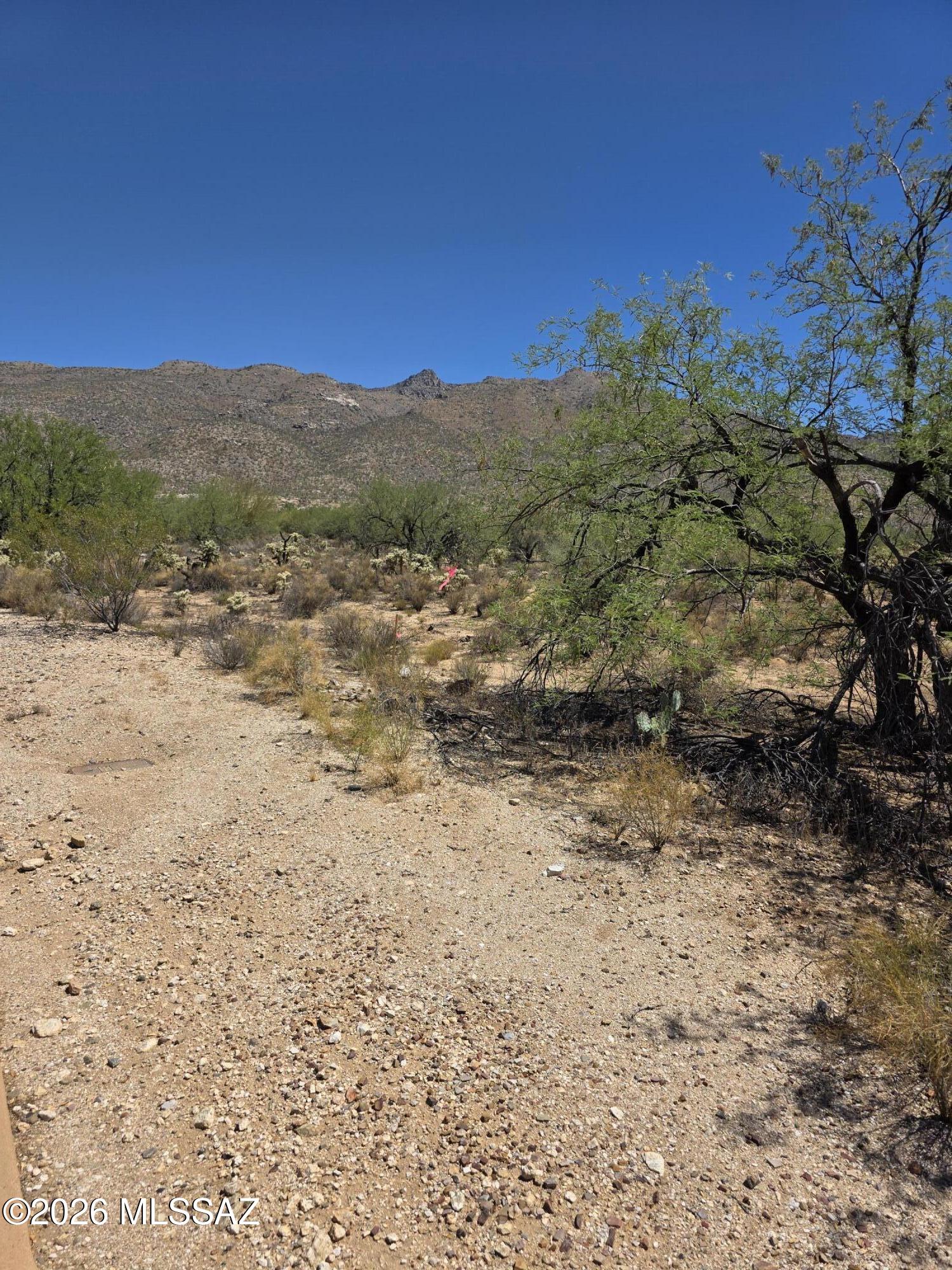 Owning 3.48 acres in the Tanque Verde offers the ultimate canvas for a luxury desert estate, securing unmatched privacy, lush native vegetation, and breathtaking views of both the Catalina and Rincon Mountains. This home site in Fetzer Ranch, a gated enclave of just 60 parcels with homes typically priced at $1M and up is a short drive from daily conveniences. TAXES SHOWN ARE ONLY AN ESTMATE. Lot 41 (10841) was previously attached to Lot 44 (10861), and they were split in July 2025. Actual tax allocation as well as the new Tax Code #114-06-101C for Lot 41 will be updated in all Pima County Assessor's websites in September 2026. Tax Code #114-06-101A is for the combined two lots.