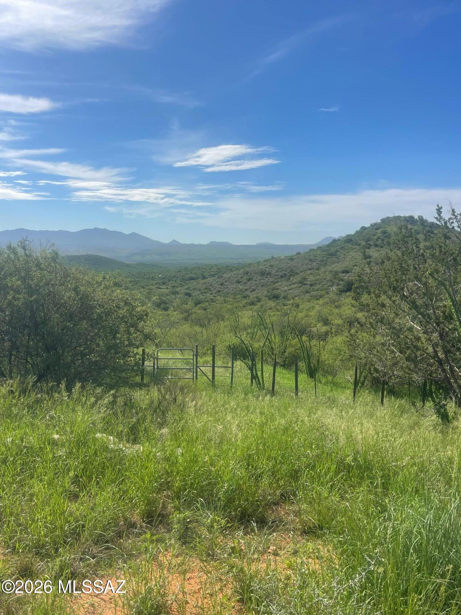 46 Plus acres of fully fenced land, with cross fencing around Small 2 bed 1 bath cottage with power and septic in the Empire Mtns, great views, water tank set high on hill for gravity fed pressure. Owner had lived in full time with hauled water, propane stove. Screened sitting porch on 2 sides. Land has trees and lots of ocotillo. Plenty of wildlife at this semi remote home 40 minutes from Tucson and Sonoita. Views look across Empire Cienega to Whetstone Mountains