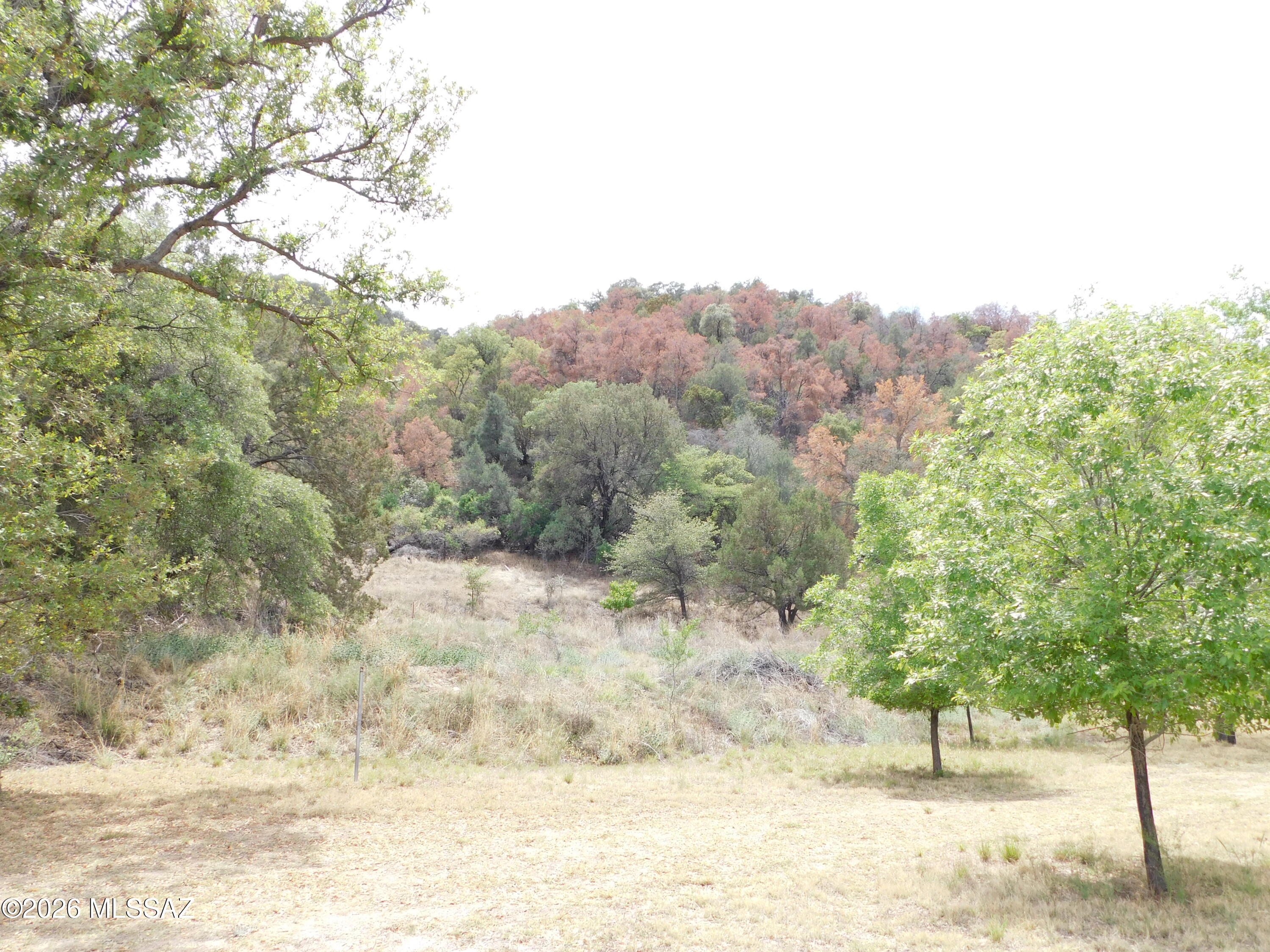 Out Of Pima County - Residential Income