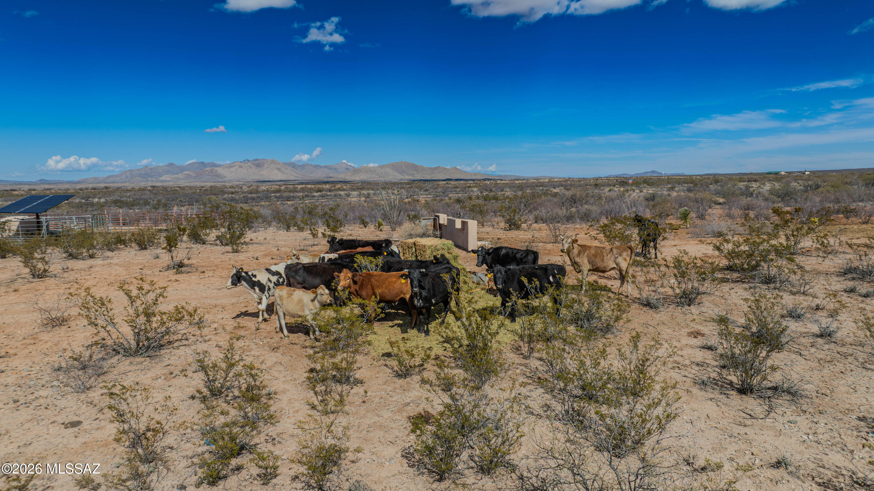 Dragoon Mountain Ranch - Land