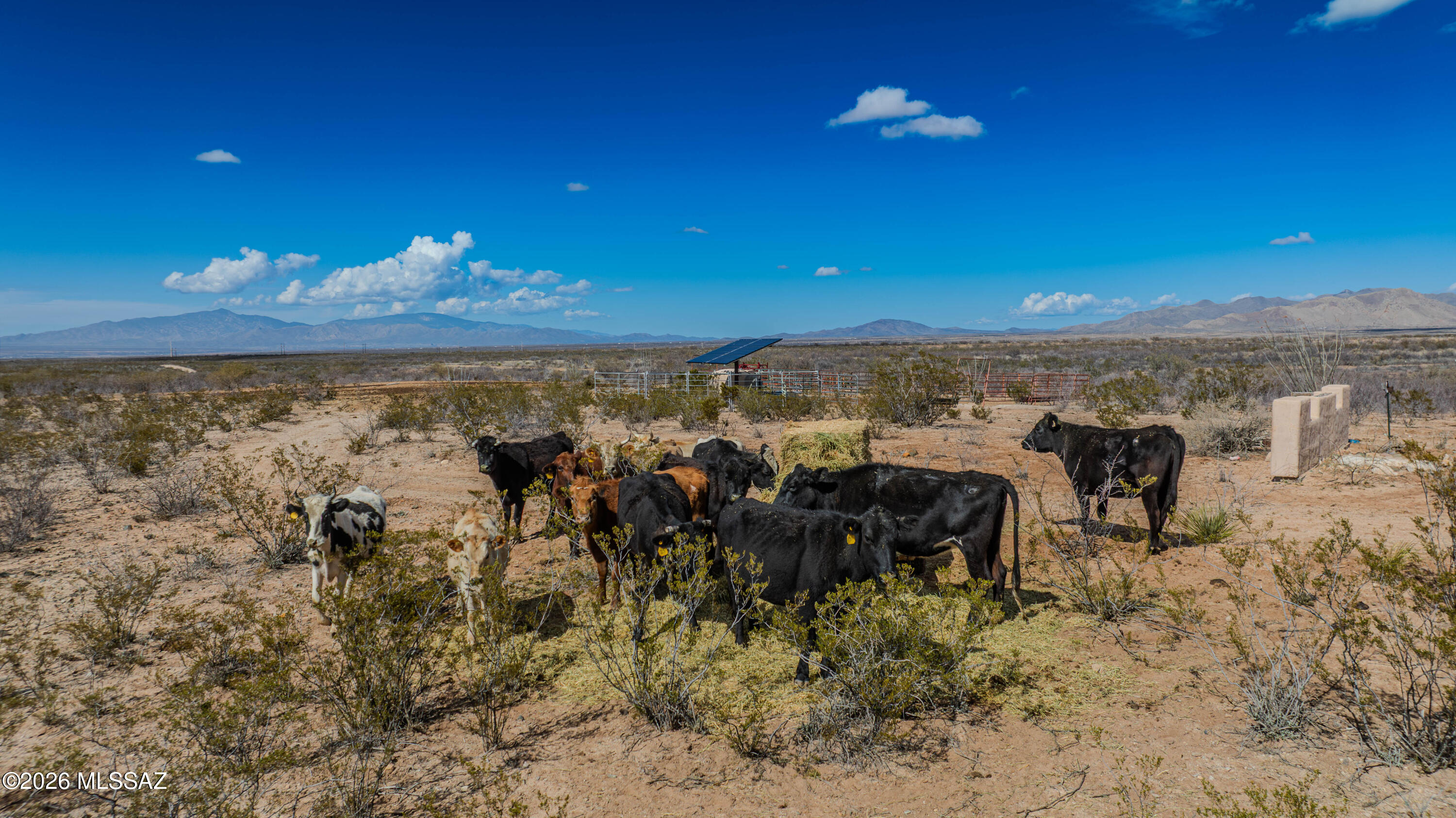 Dragoon Mountain Ranch - Land