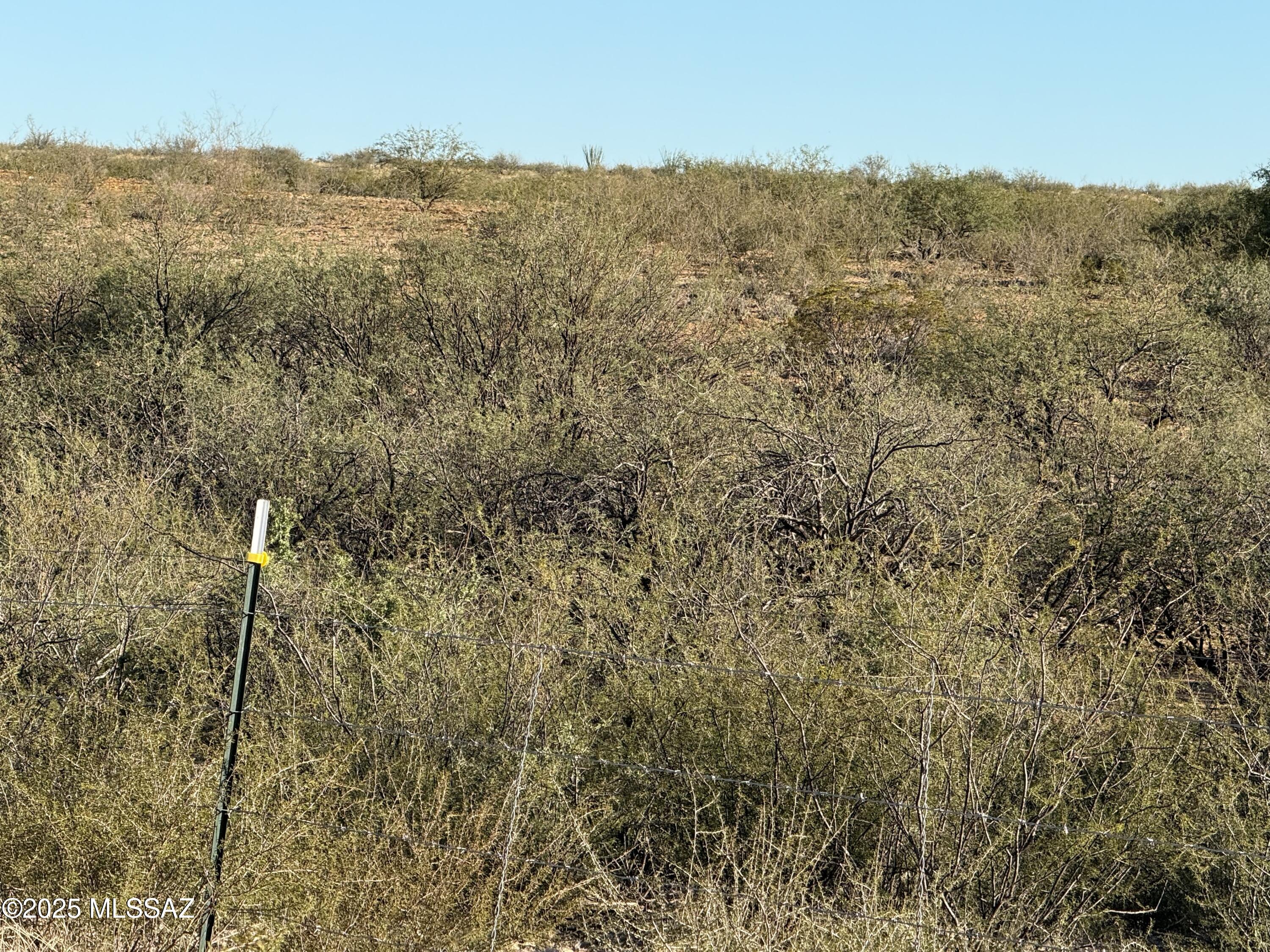 Dragoon Mountain Ranch - Land