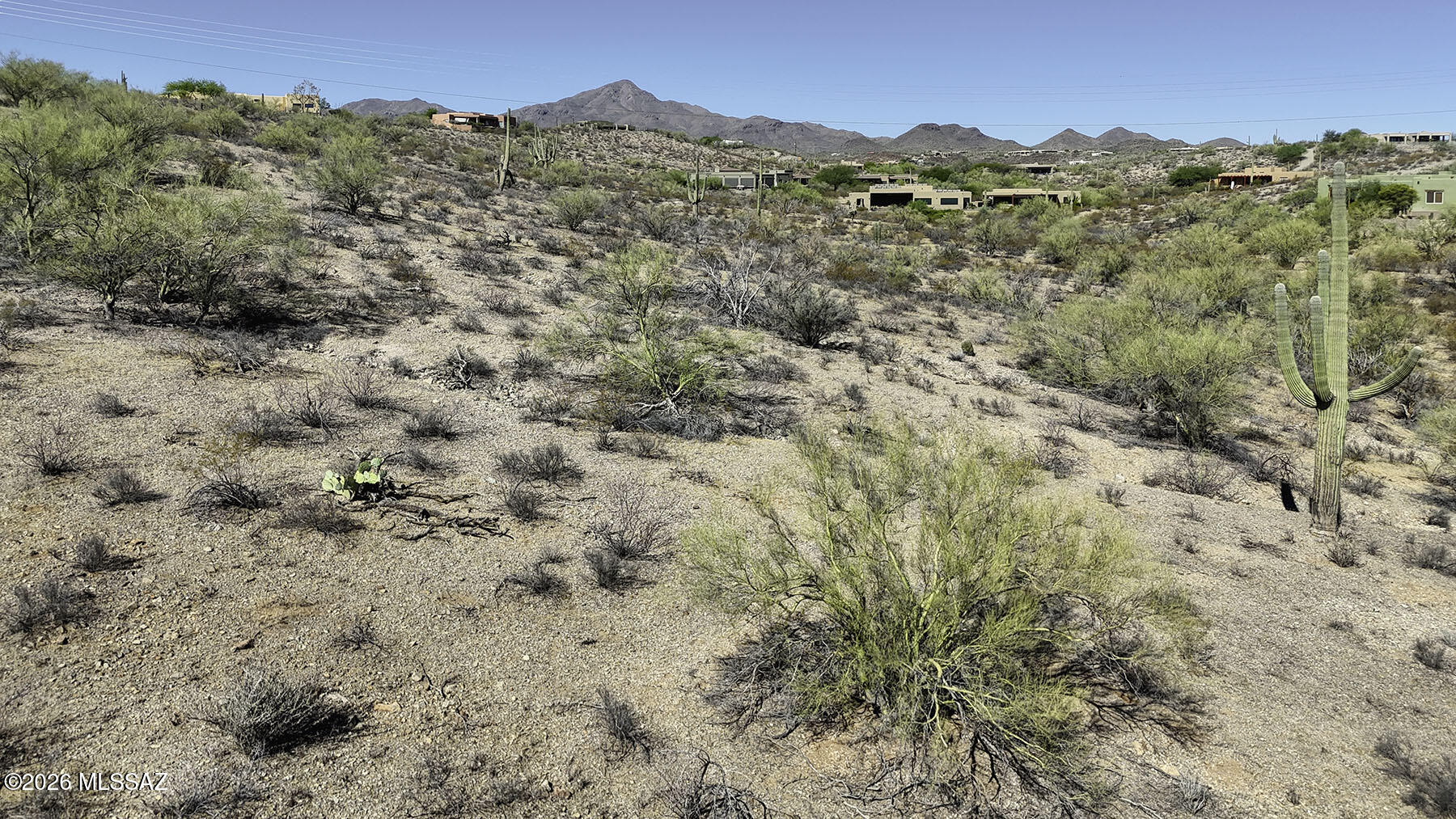 Tucson Mountain Reserve (1-124) - Land
