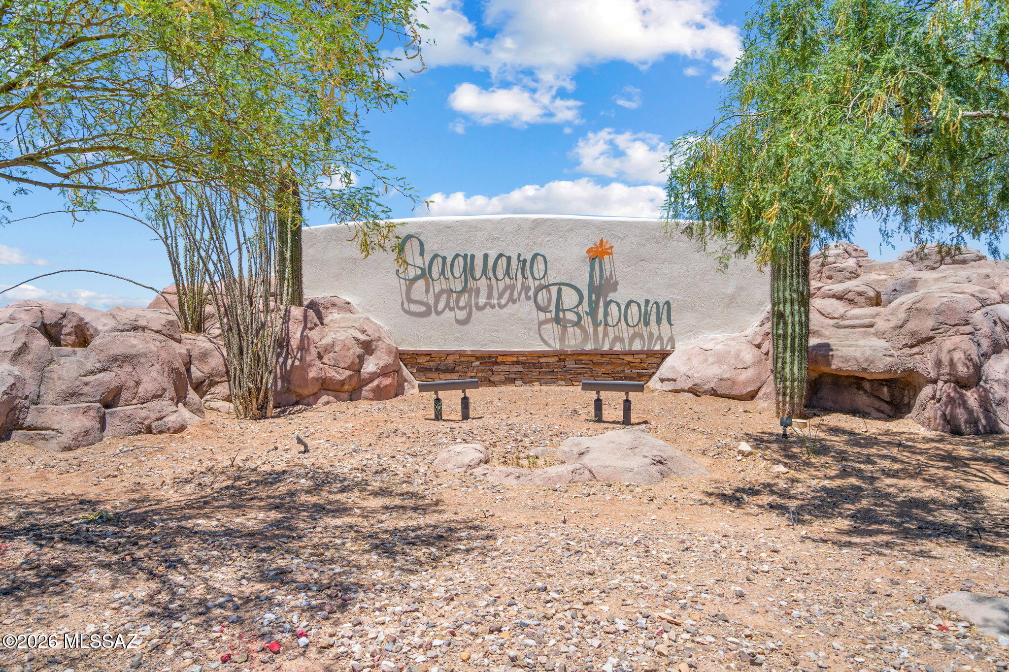 Saguaro Springs Block 8B (131-399) - Residential